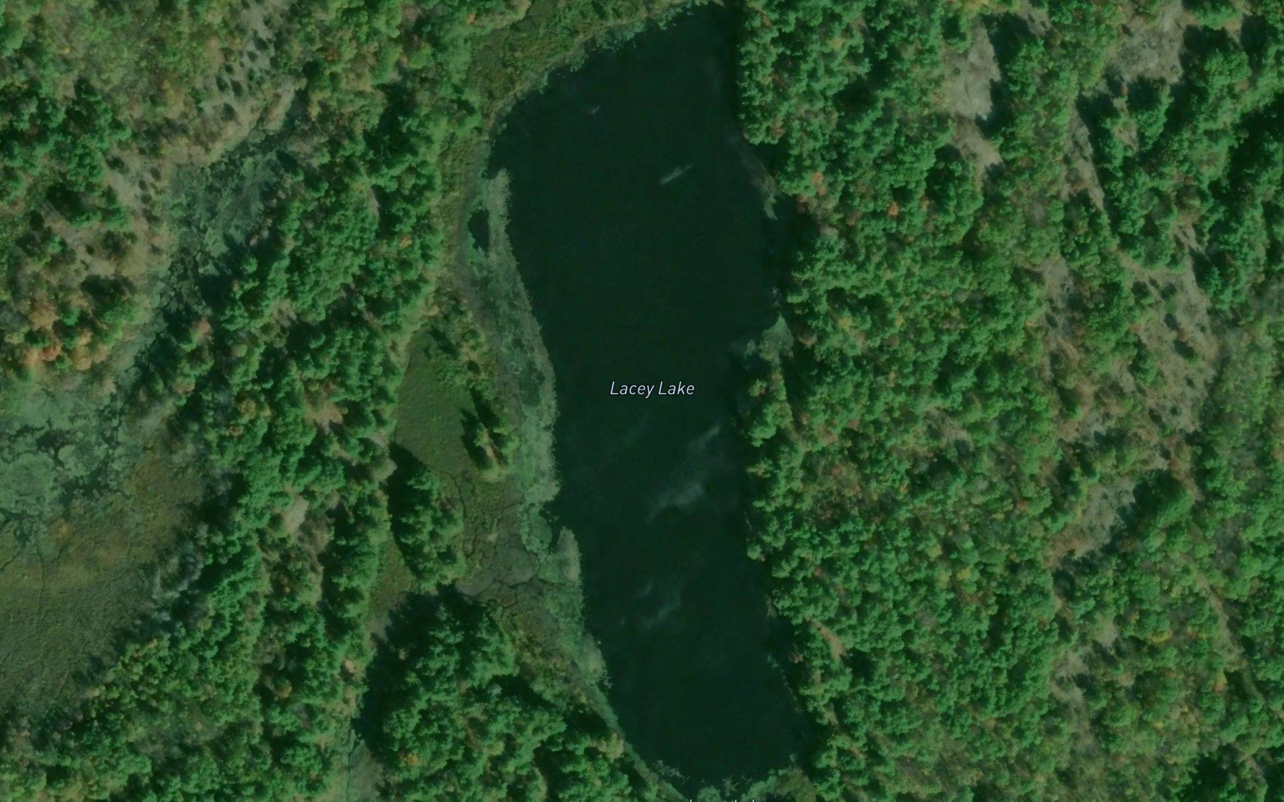 Lacey Lake