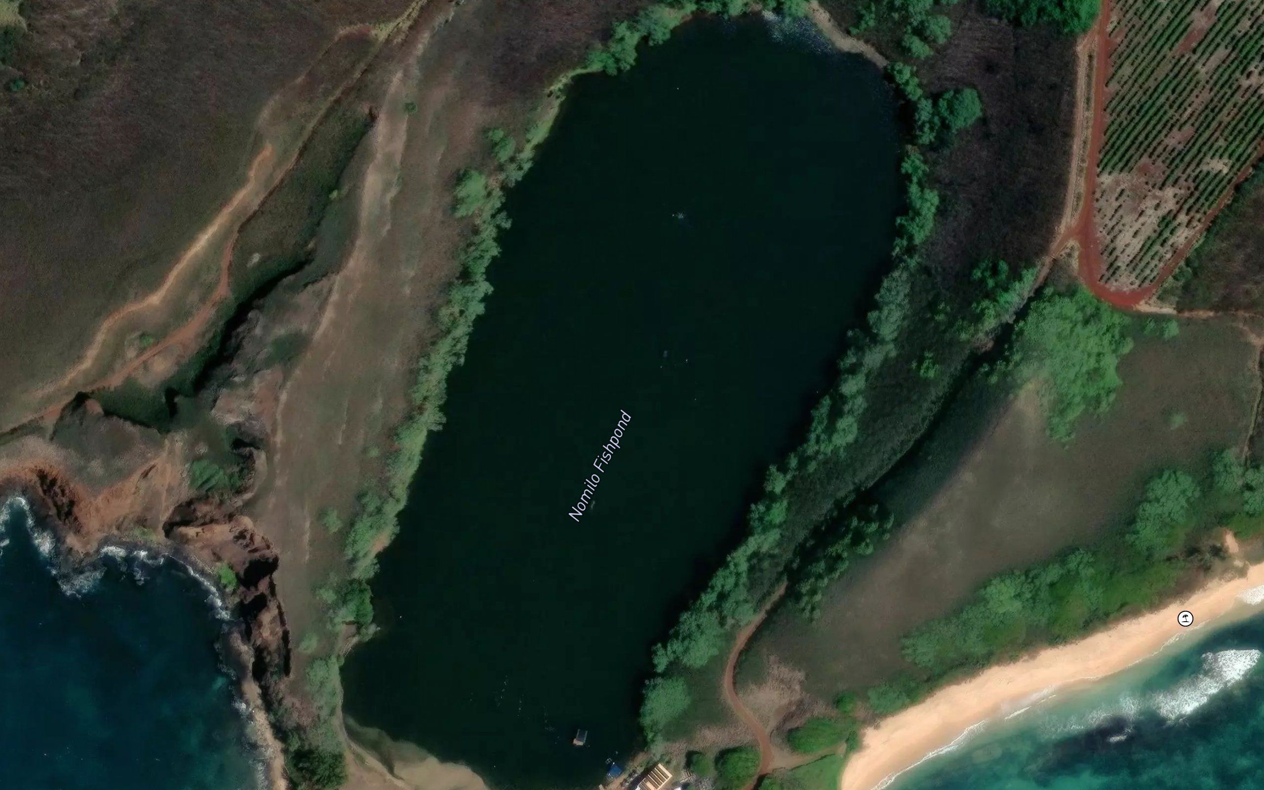 Nomilo Fishpond