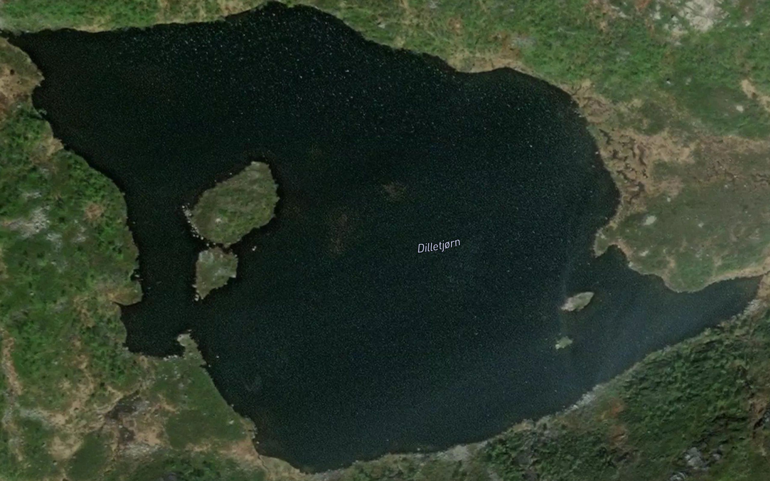 Dilletjonn