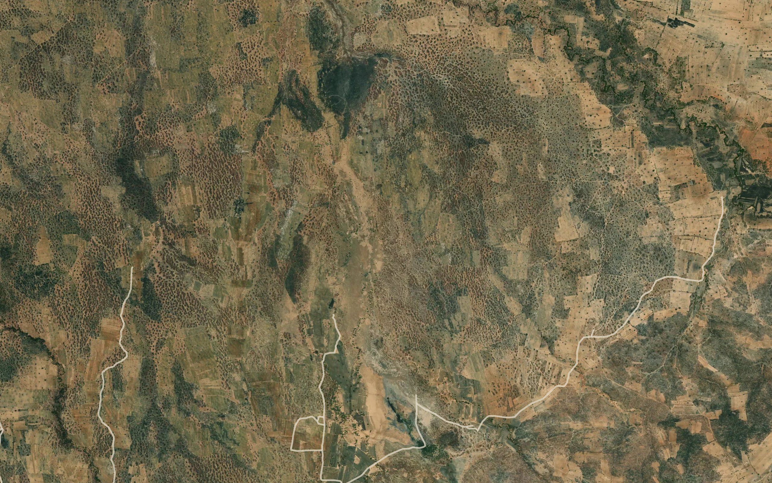 Dongafuba