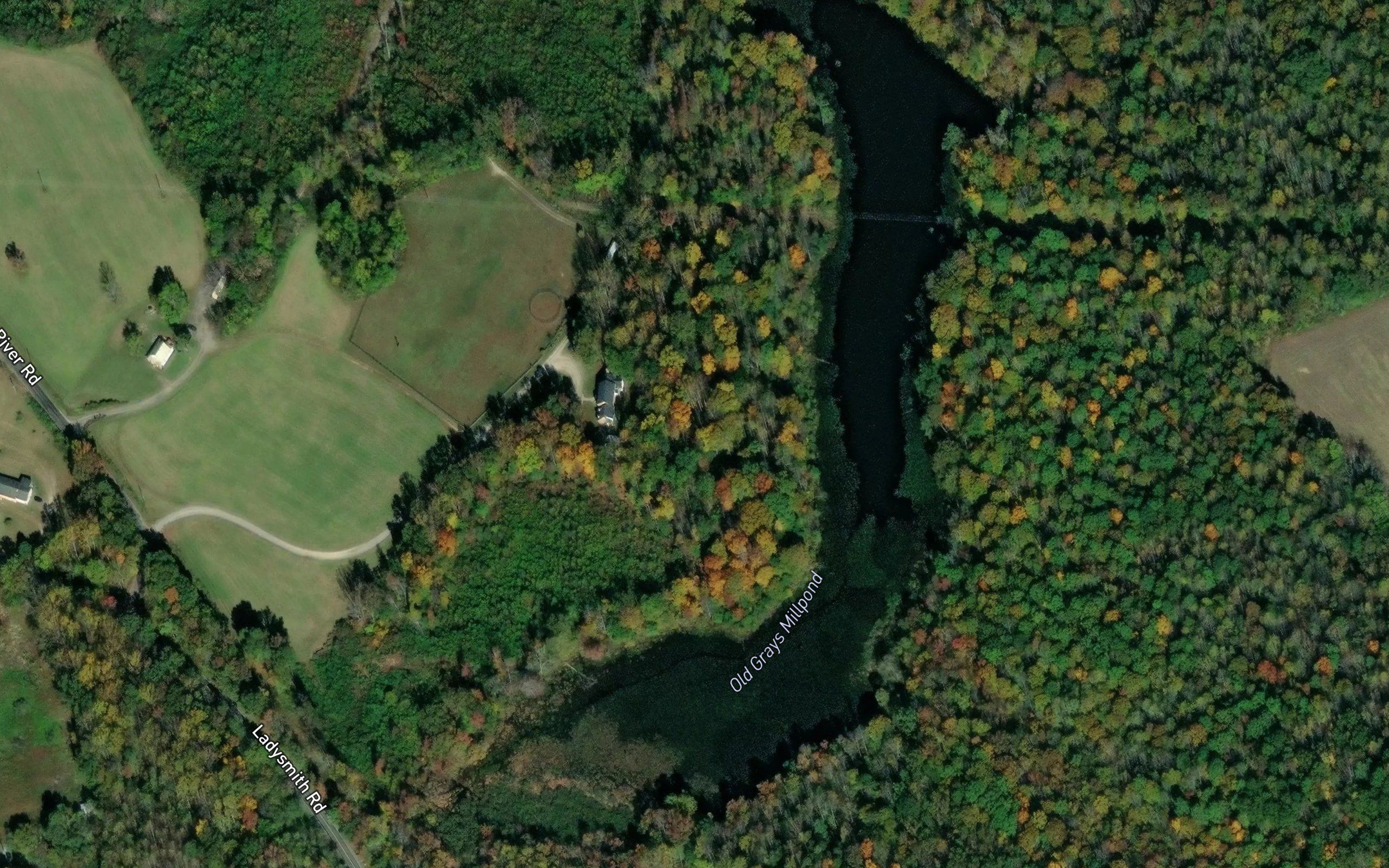Old Grays Pond