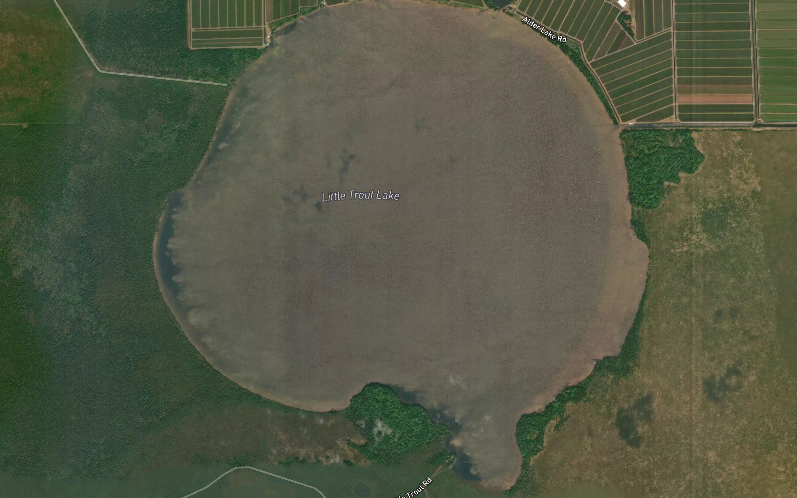 Little Trout Lake
