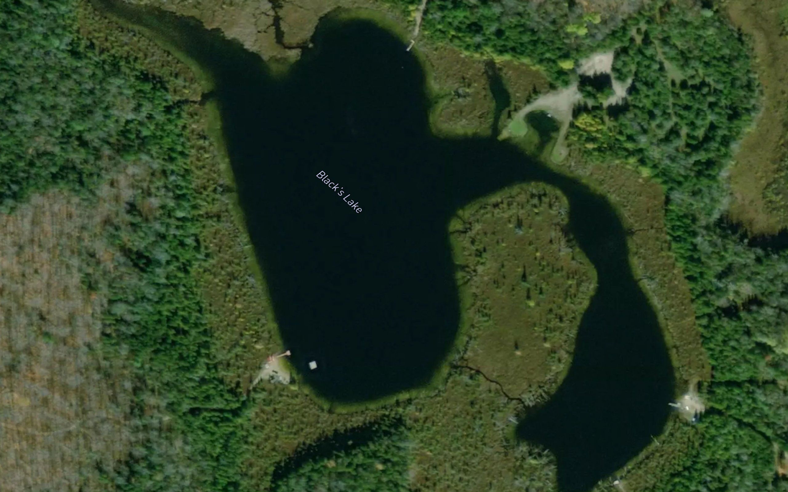 Black's Lake
