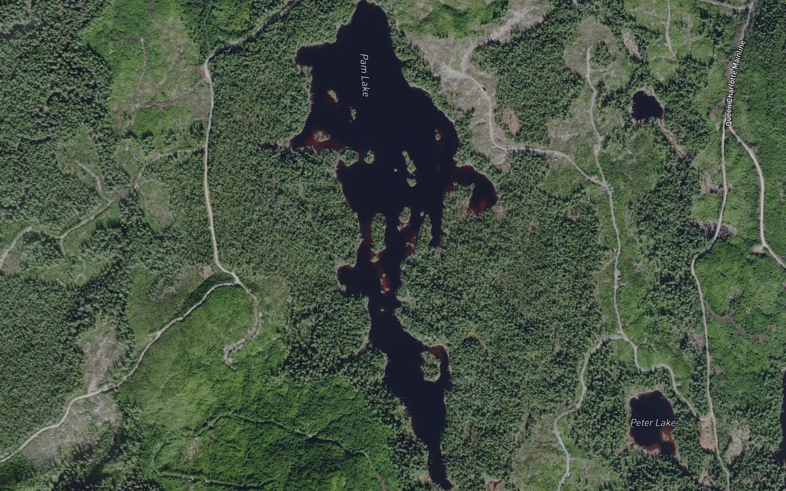 Pam Lake