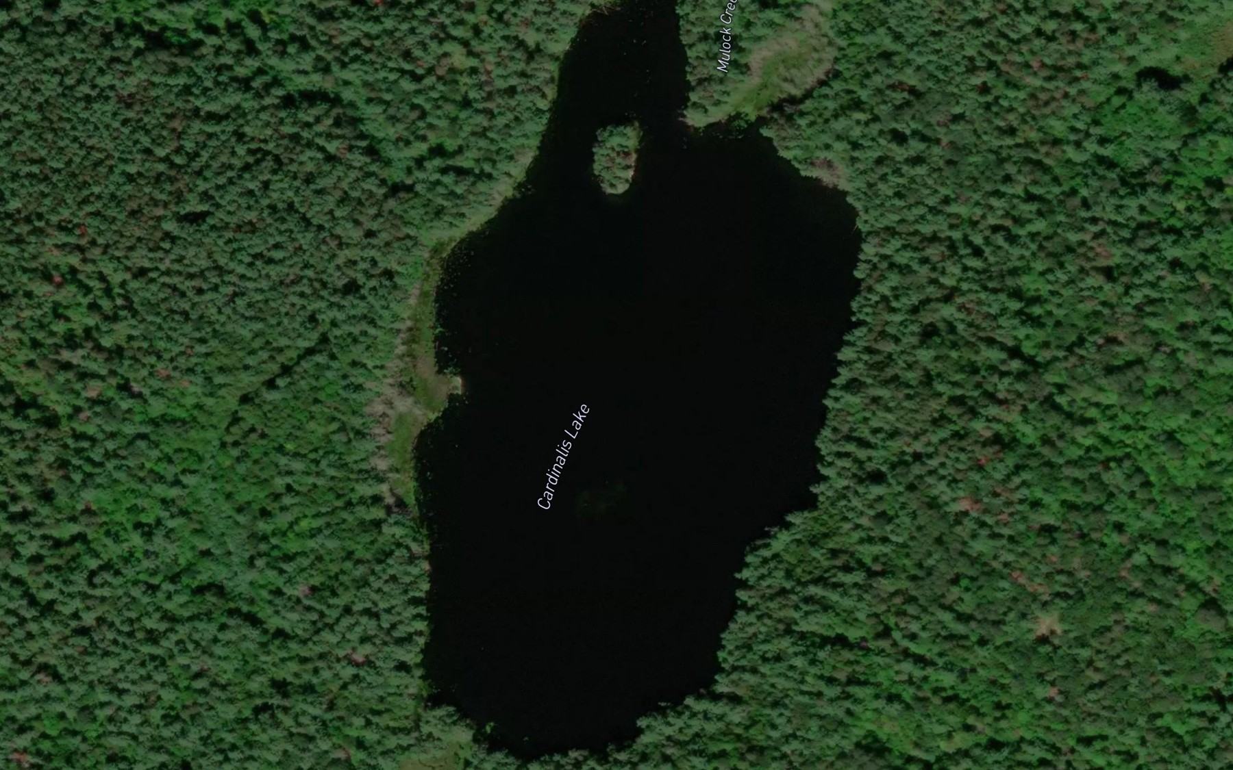 Satellite map of the Cardinalis Lake
