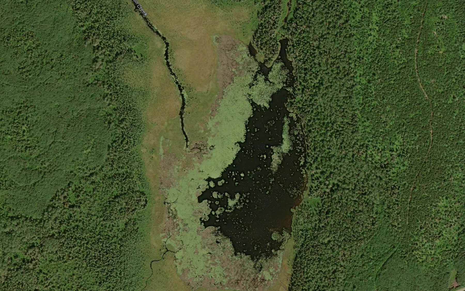 Satellite map of the Bruce Lake