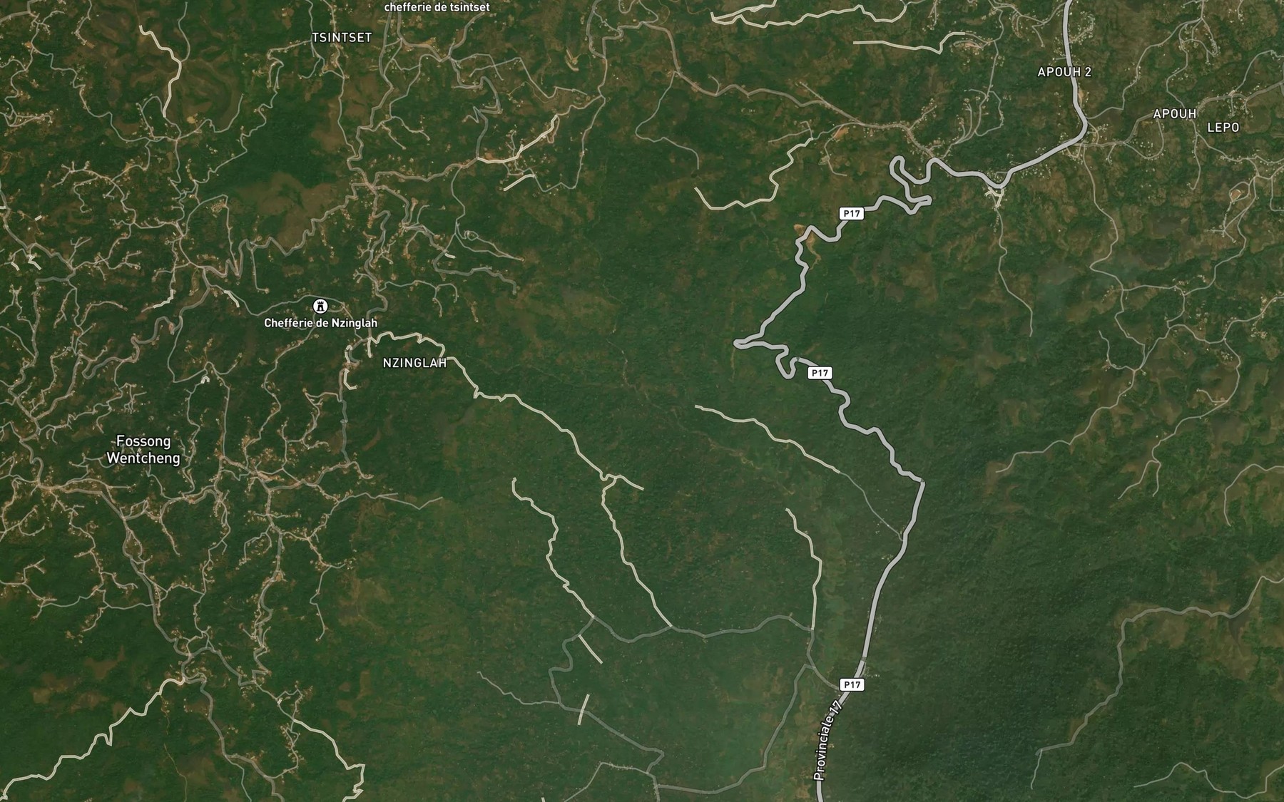 Satellite map of the Zamogoum