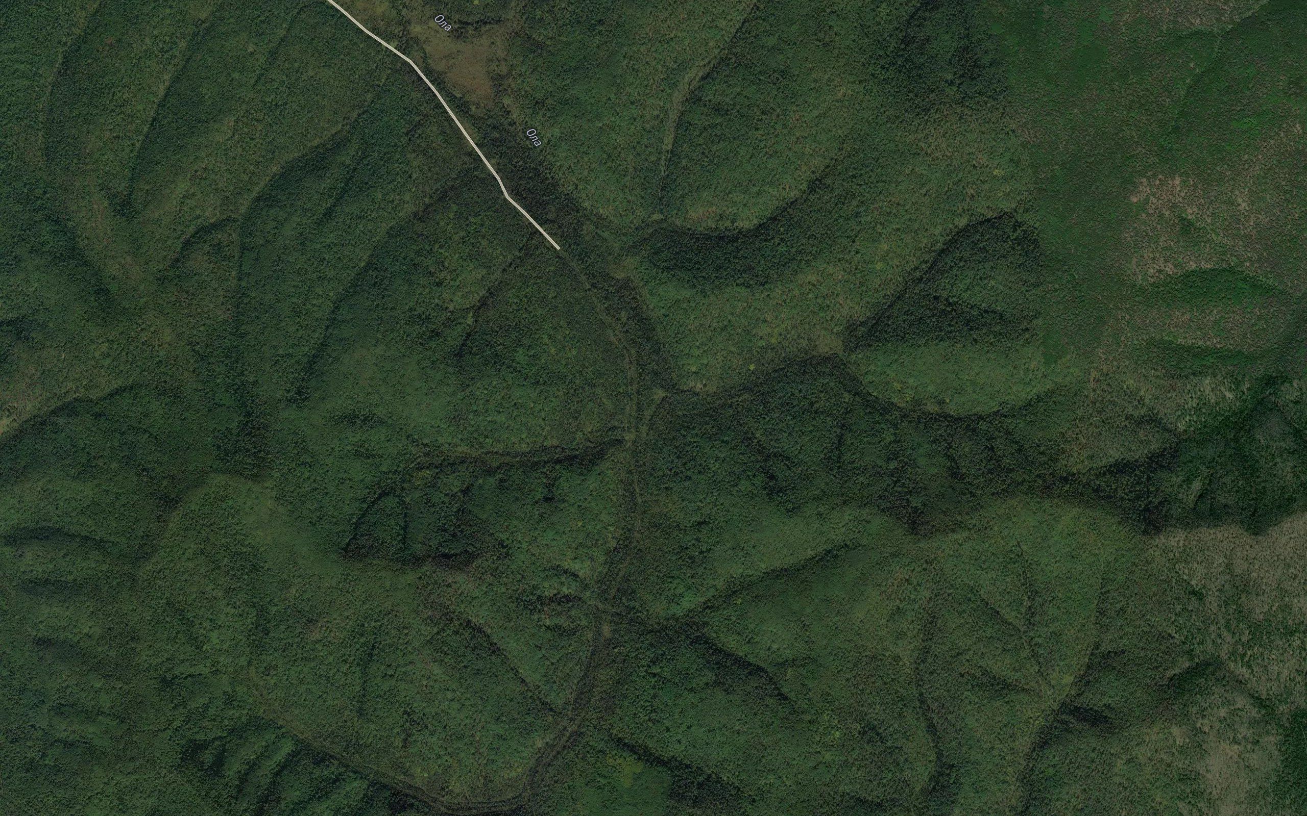 Kokornik