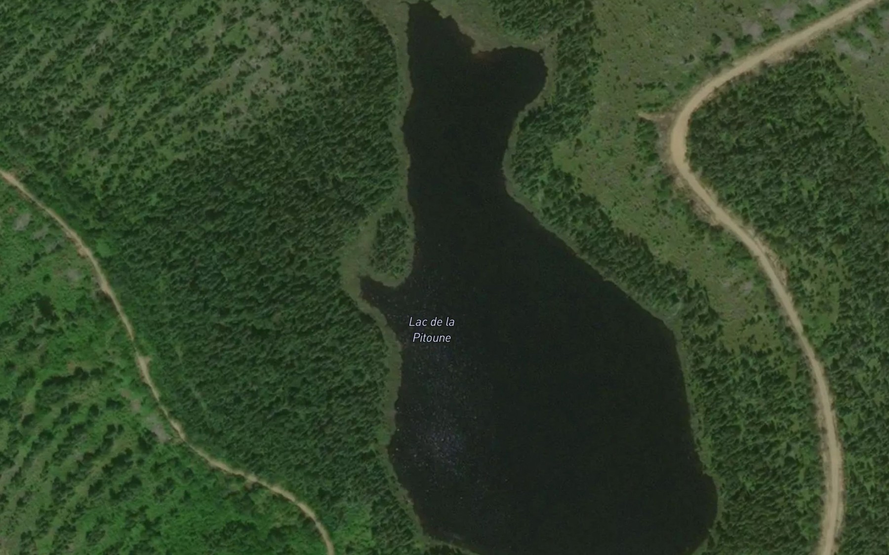 Satellite map of the Lac de la Pitoune