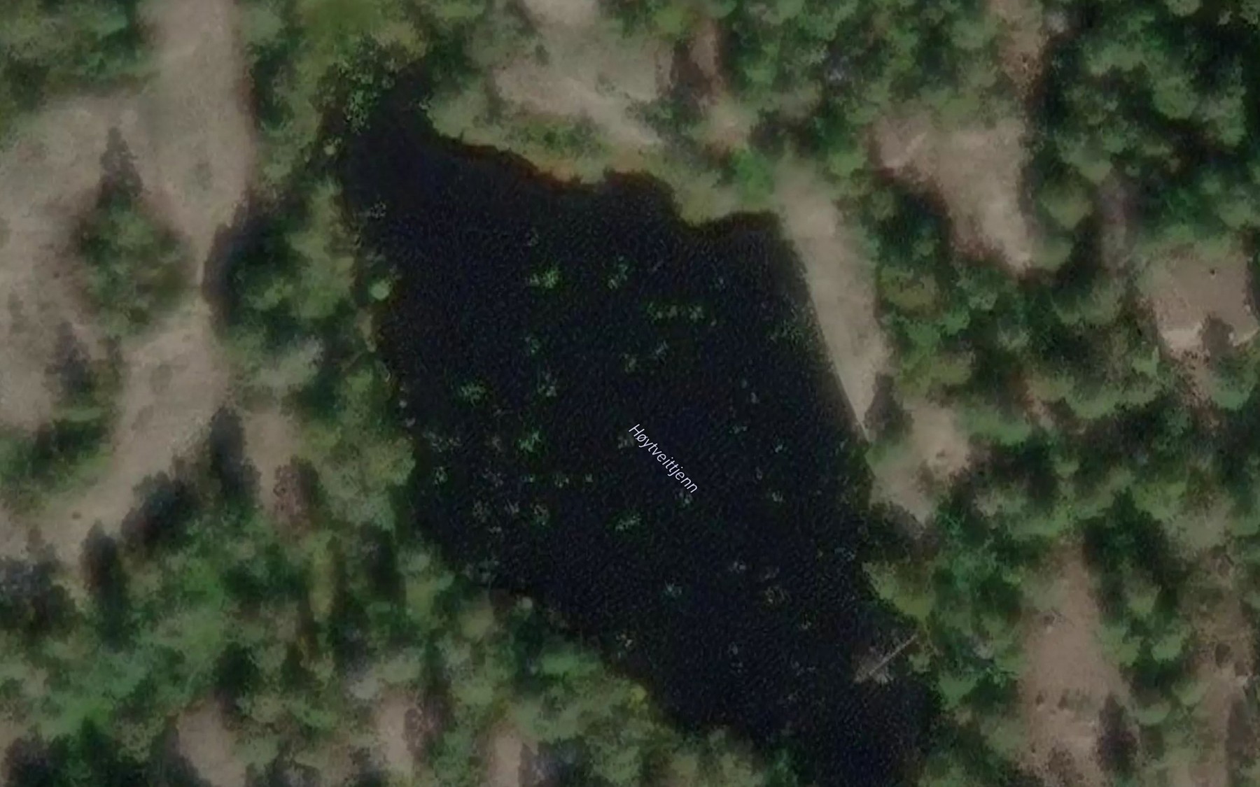 Satellite map of the Hoytveittjenn