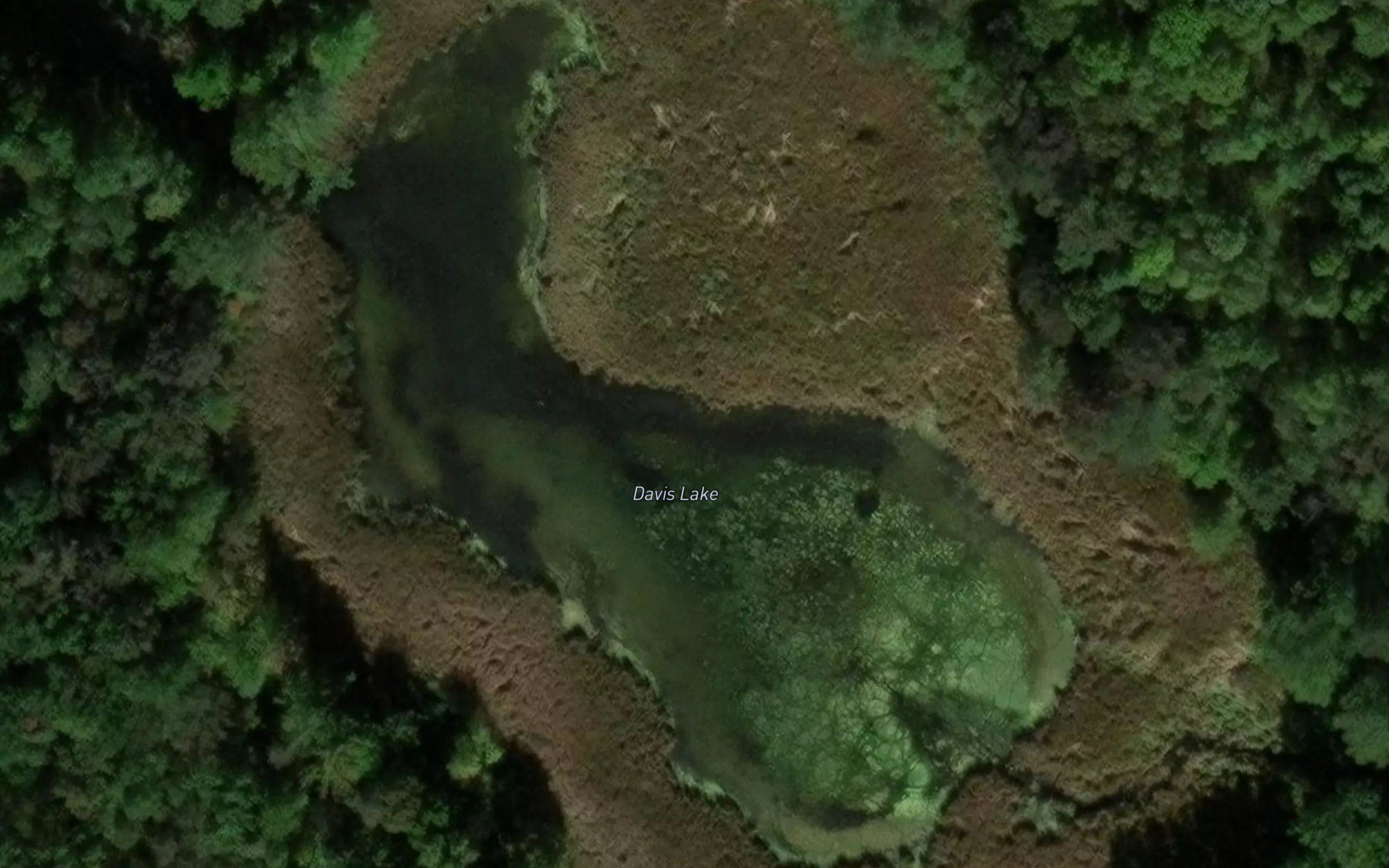 Davis Lake