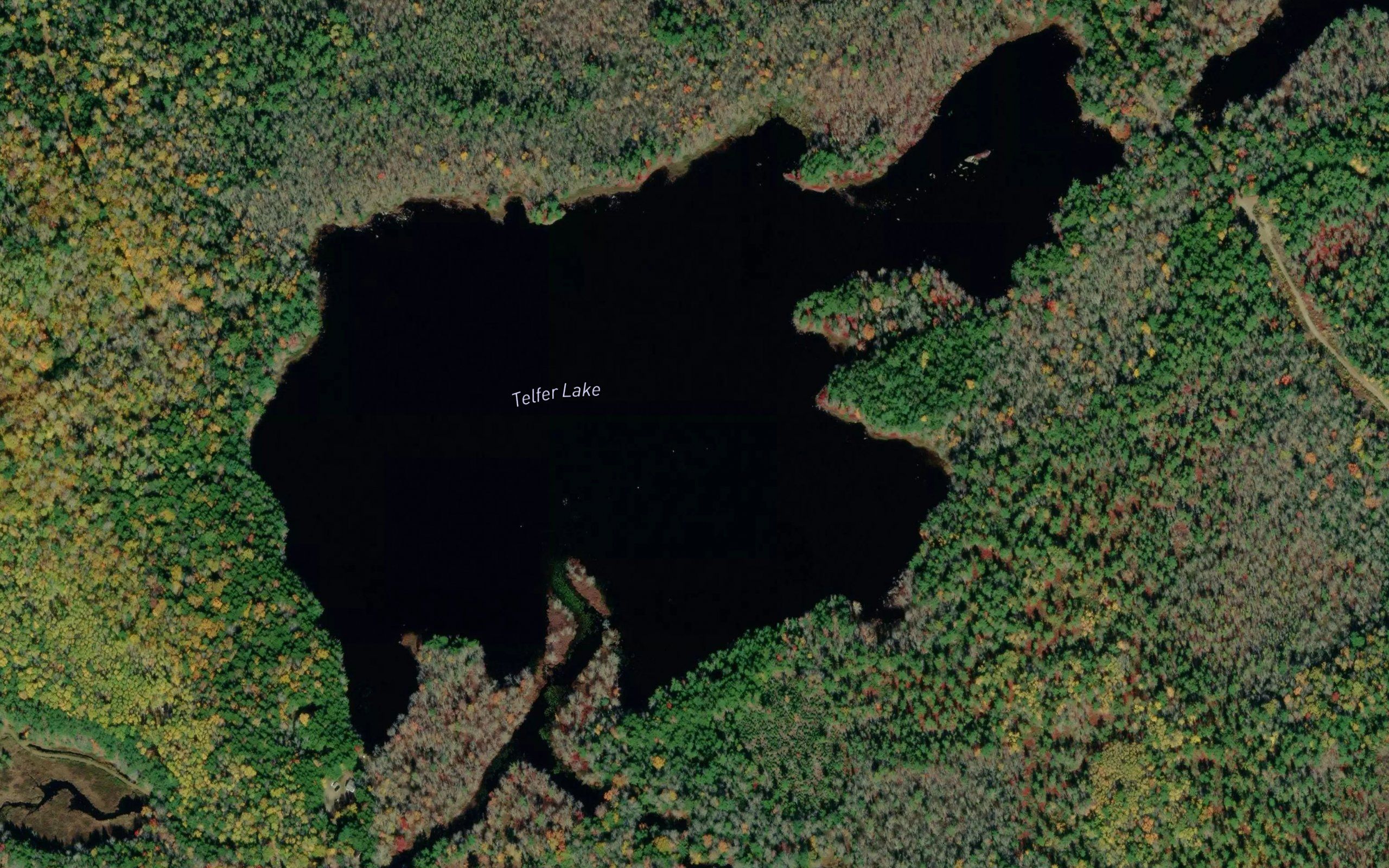Telfer Lake