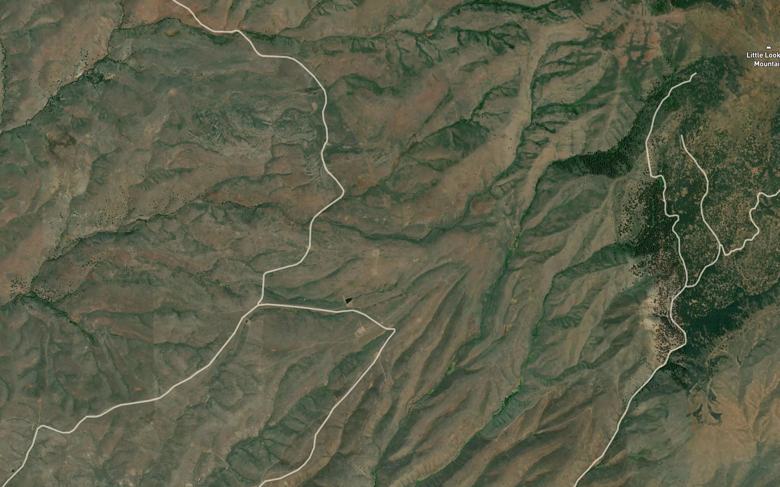 Taylor Ditch