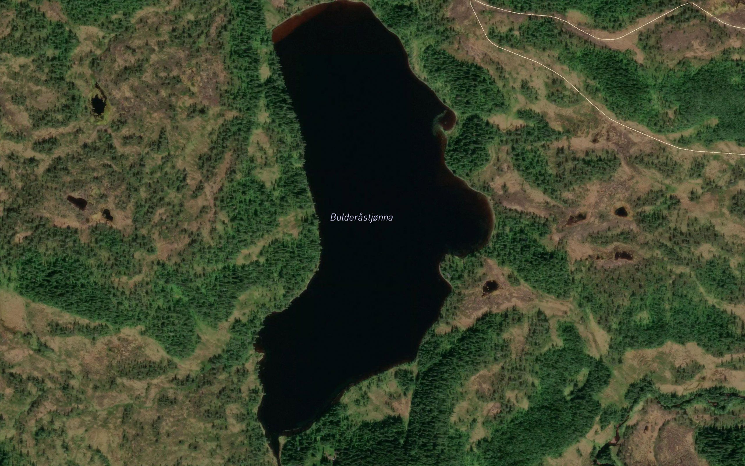 Bullerastjonna