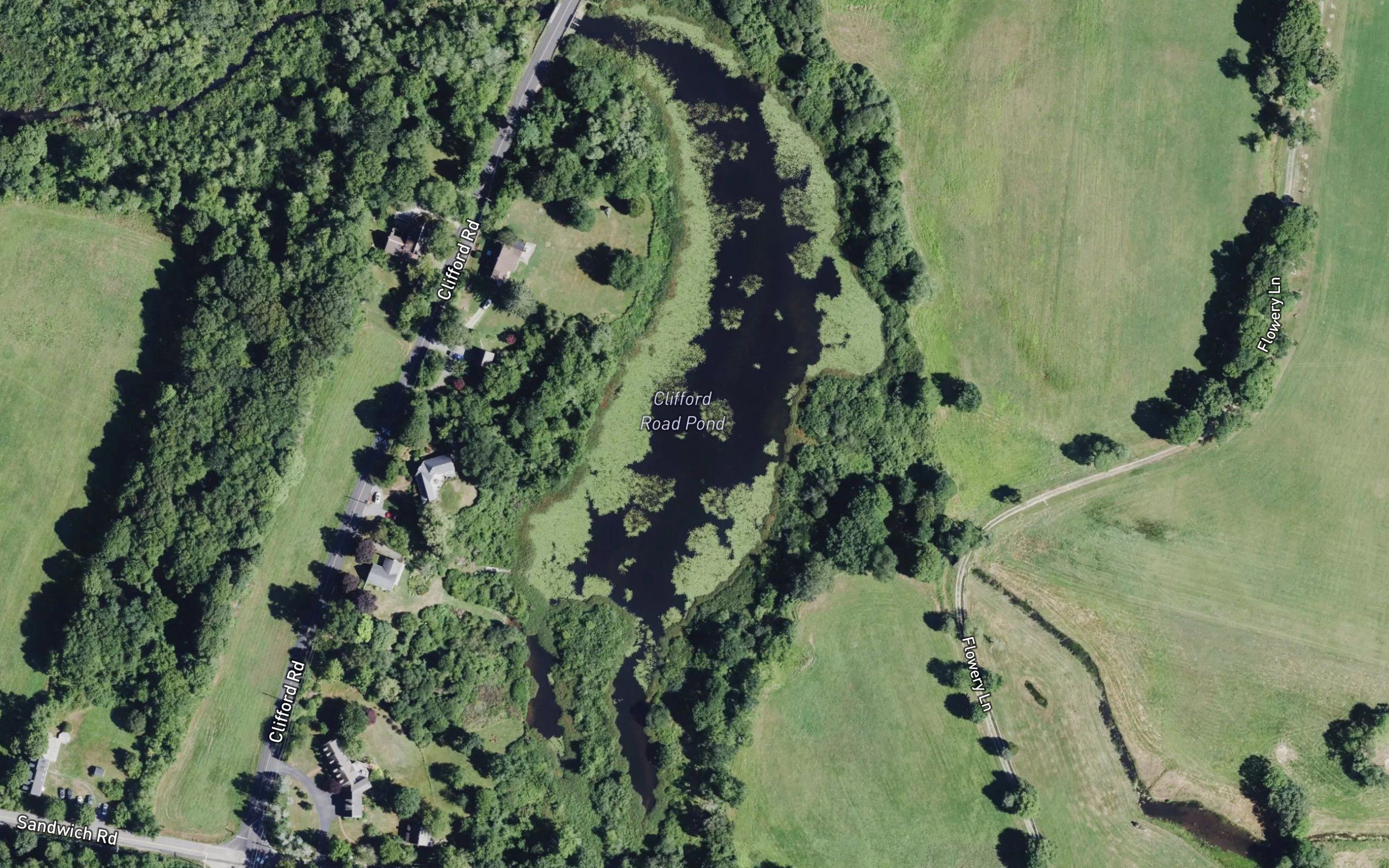 Clifford Road Pond