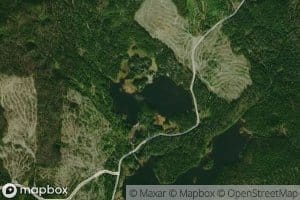 Beaver Pond