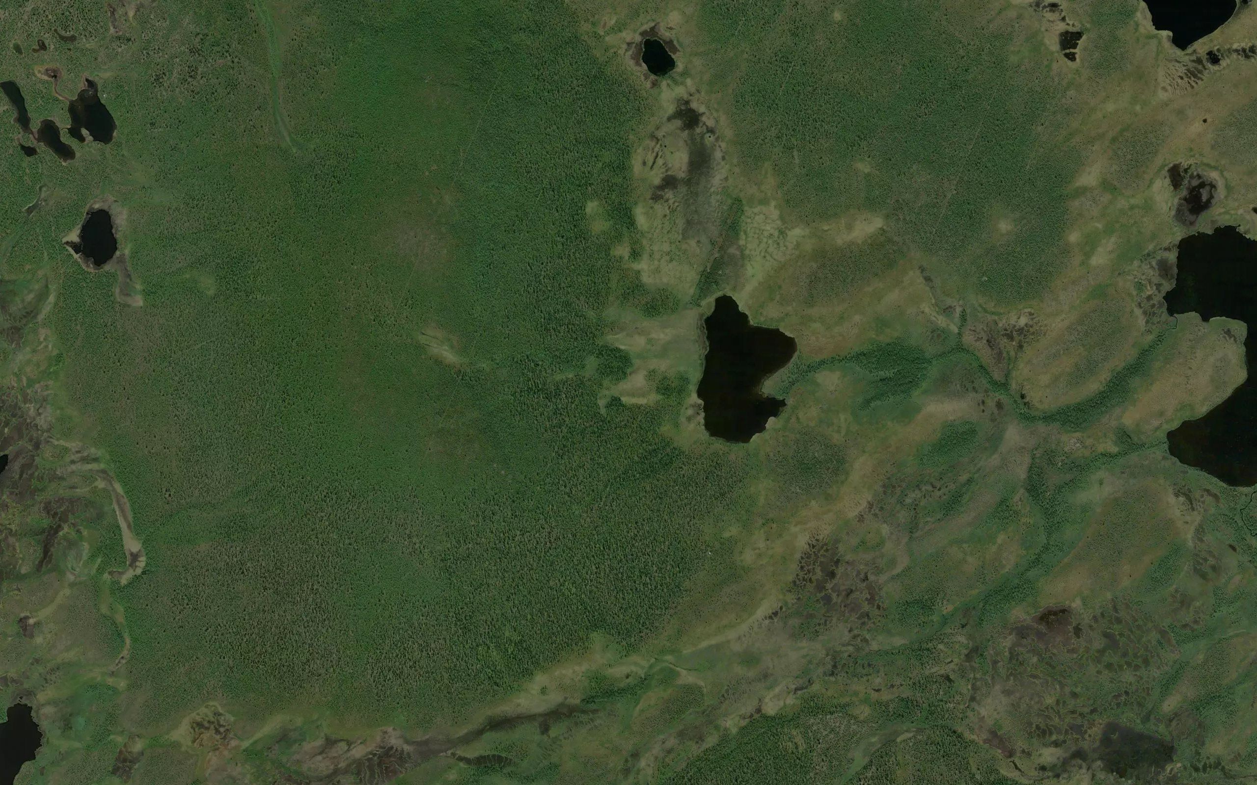 Ranojaure