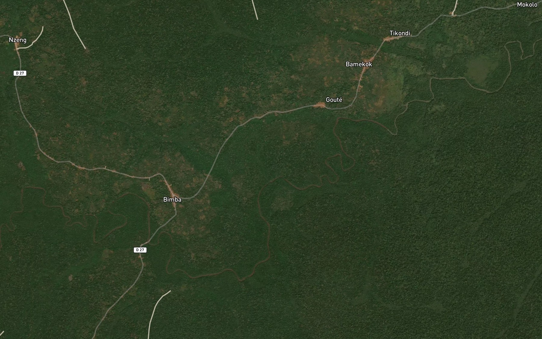 Satellite map of the Niamie