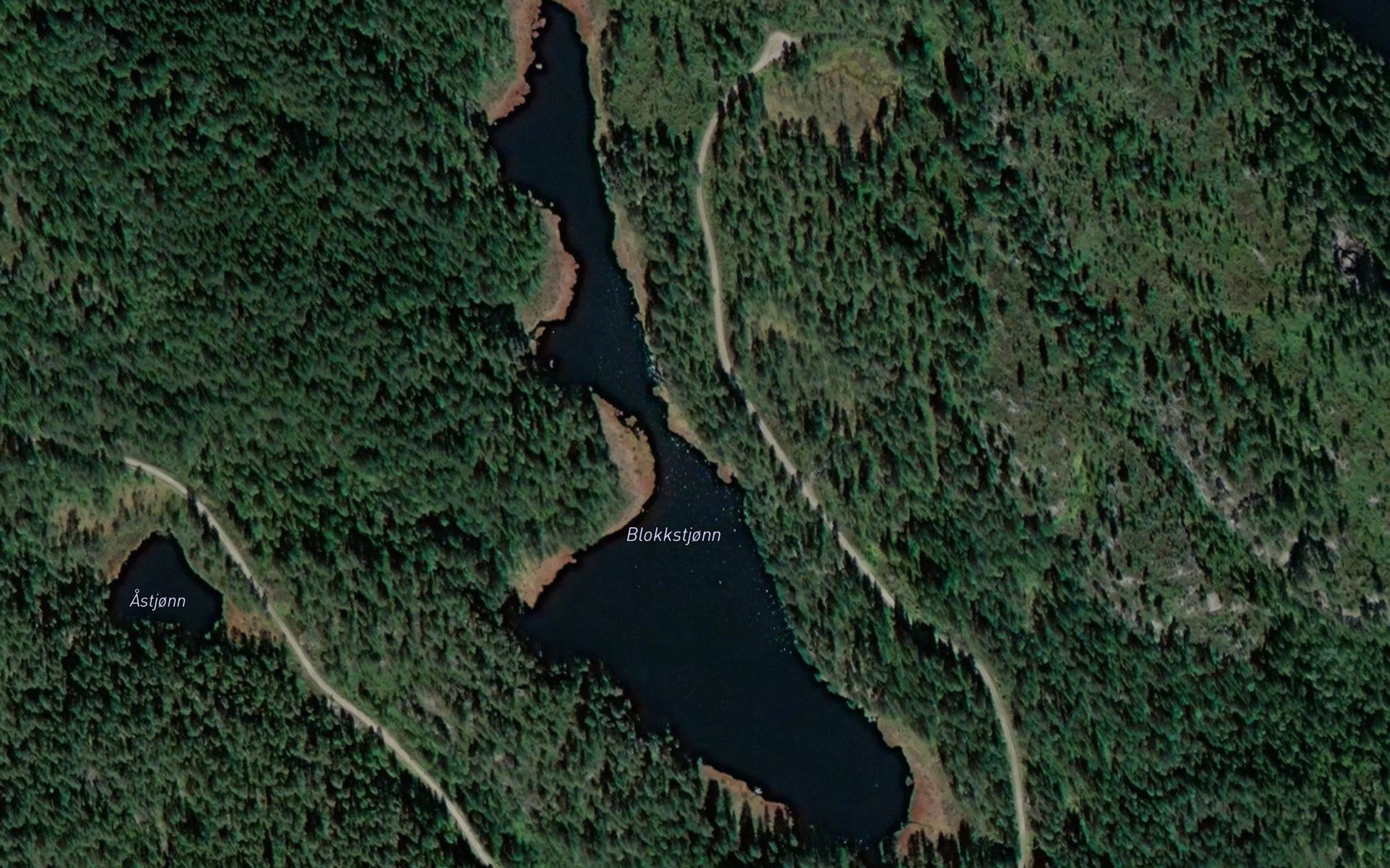 Blokkstjorn