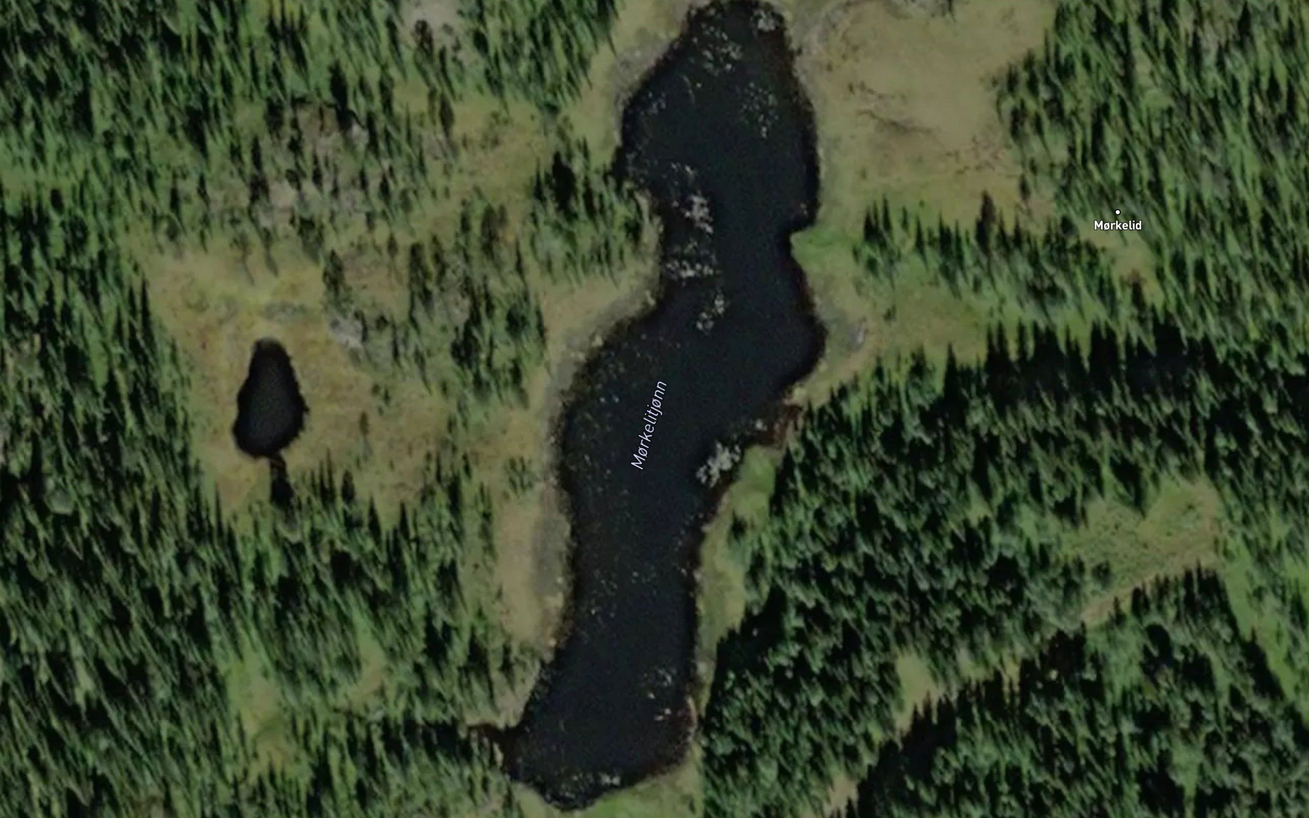 Morkelitjonn