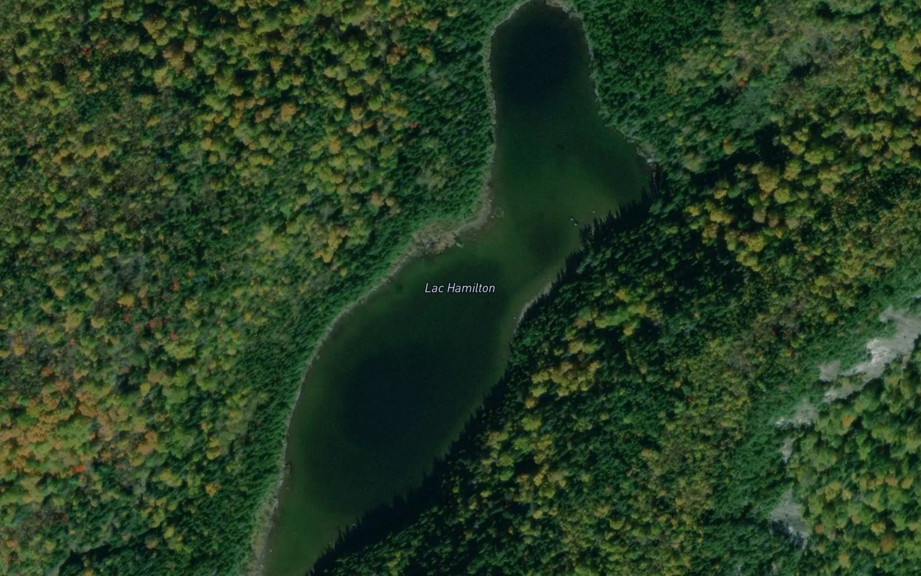 Satellite map of the Lac Hamilton