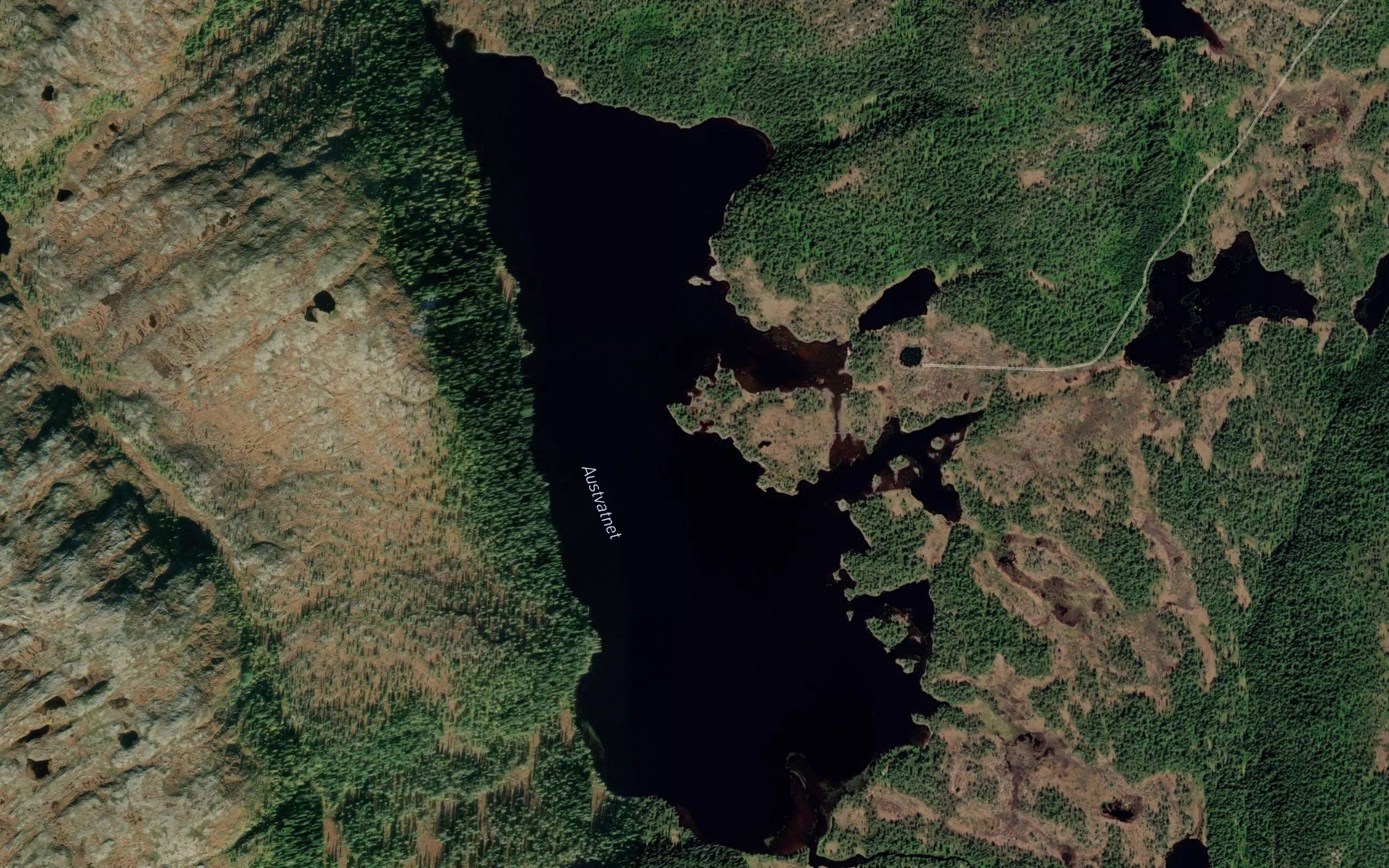 Austvatnet