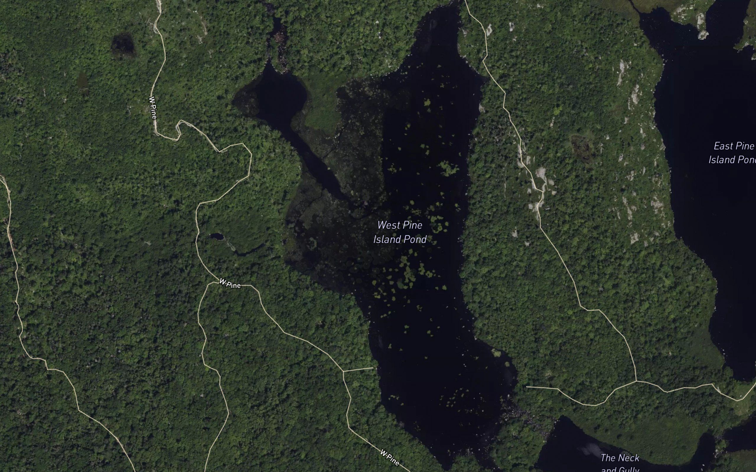 West Pine Island Pond
