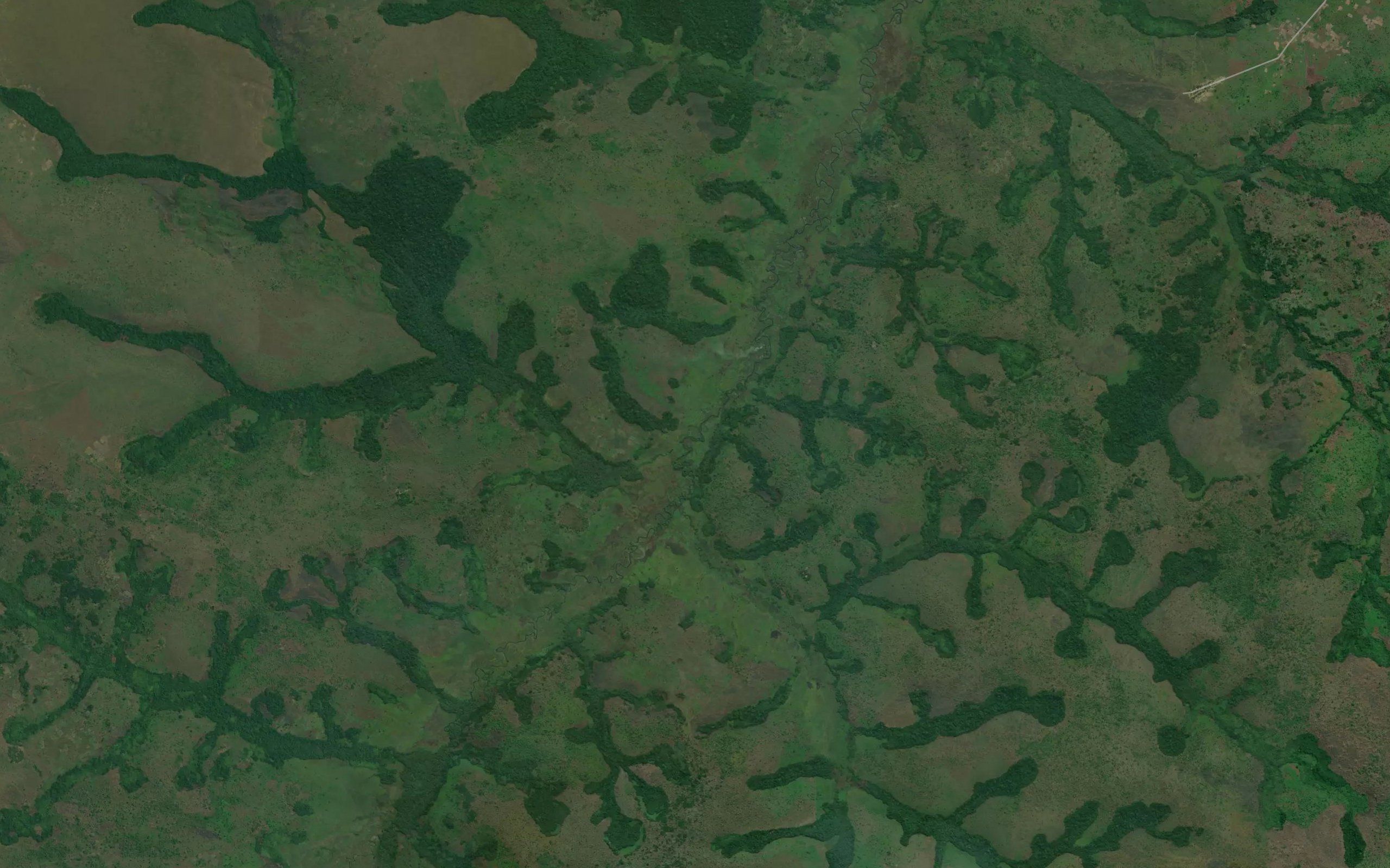 Kamba