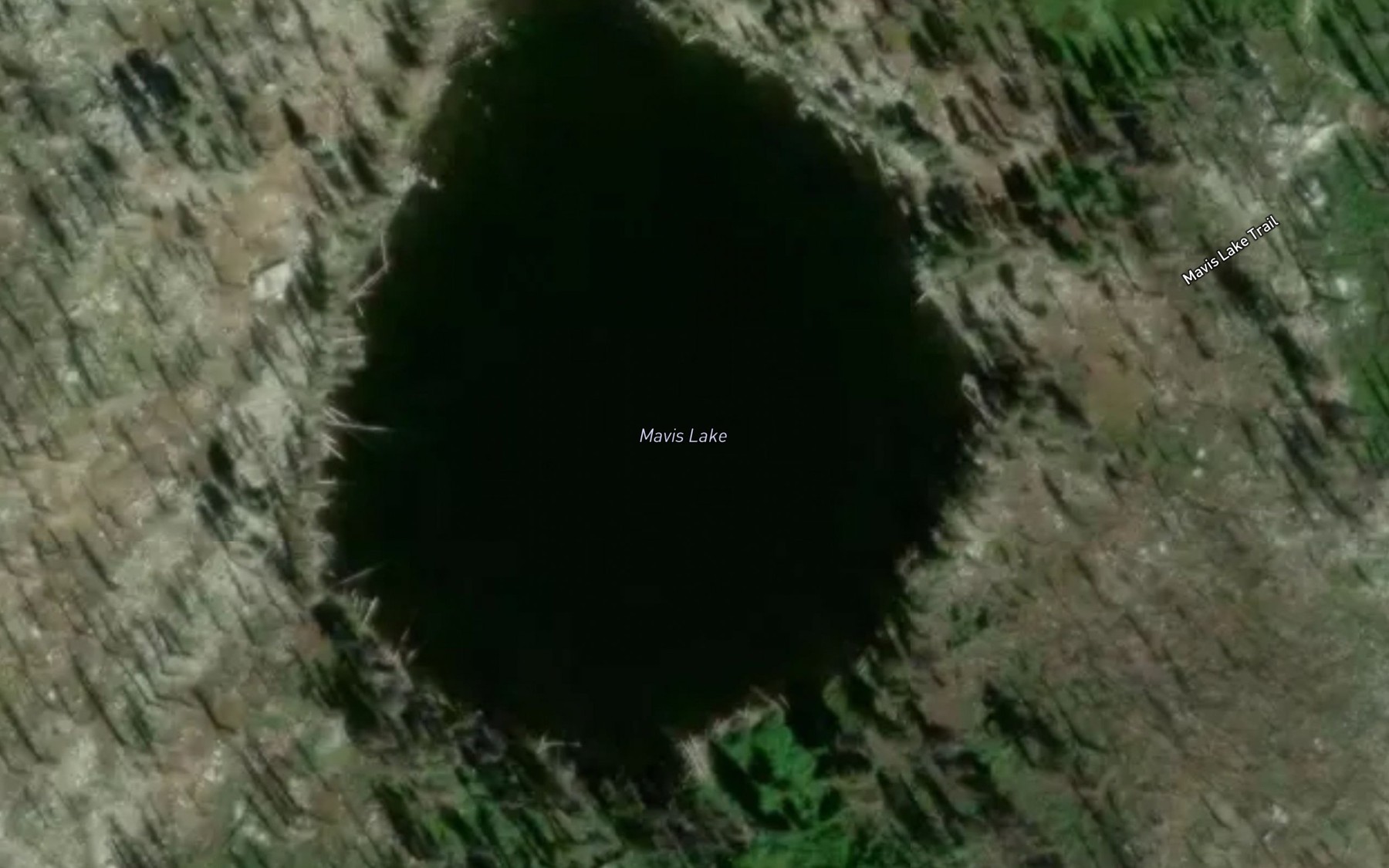 Satellite map of the Mavis Lake