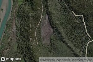 Native Companion Lagoon