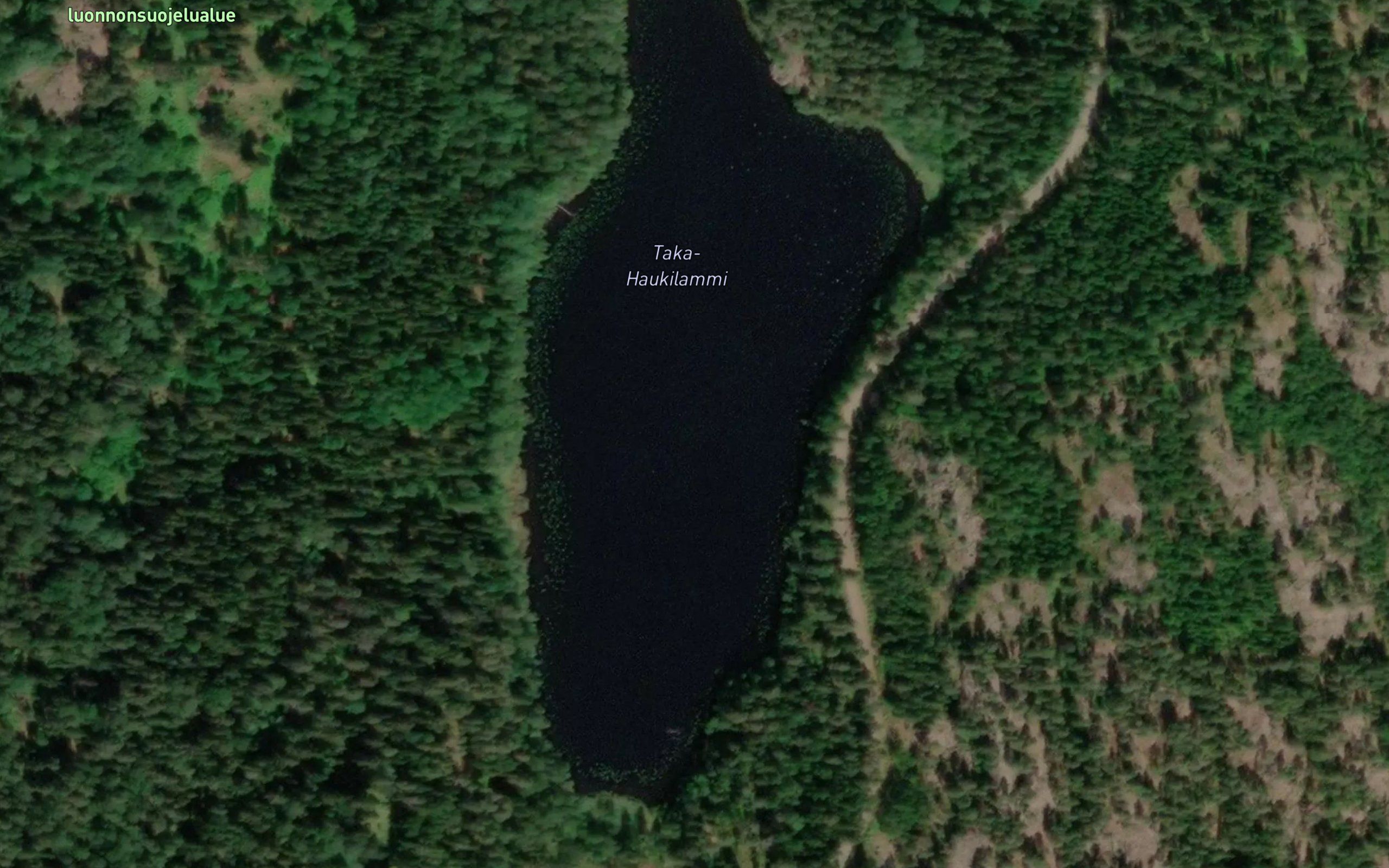 Taka-Haukilammi
