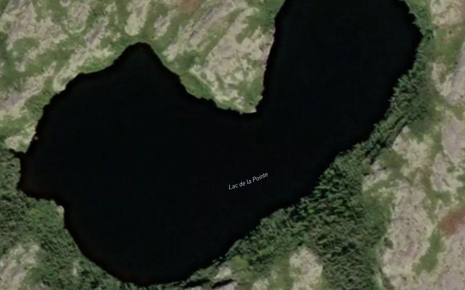 Satellite map of the Lac de la Pointe