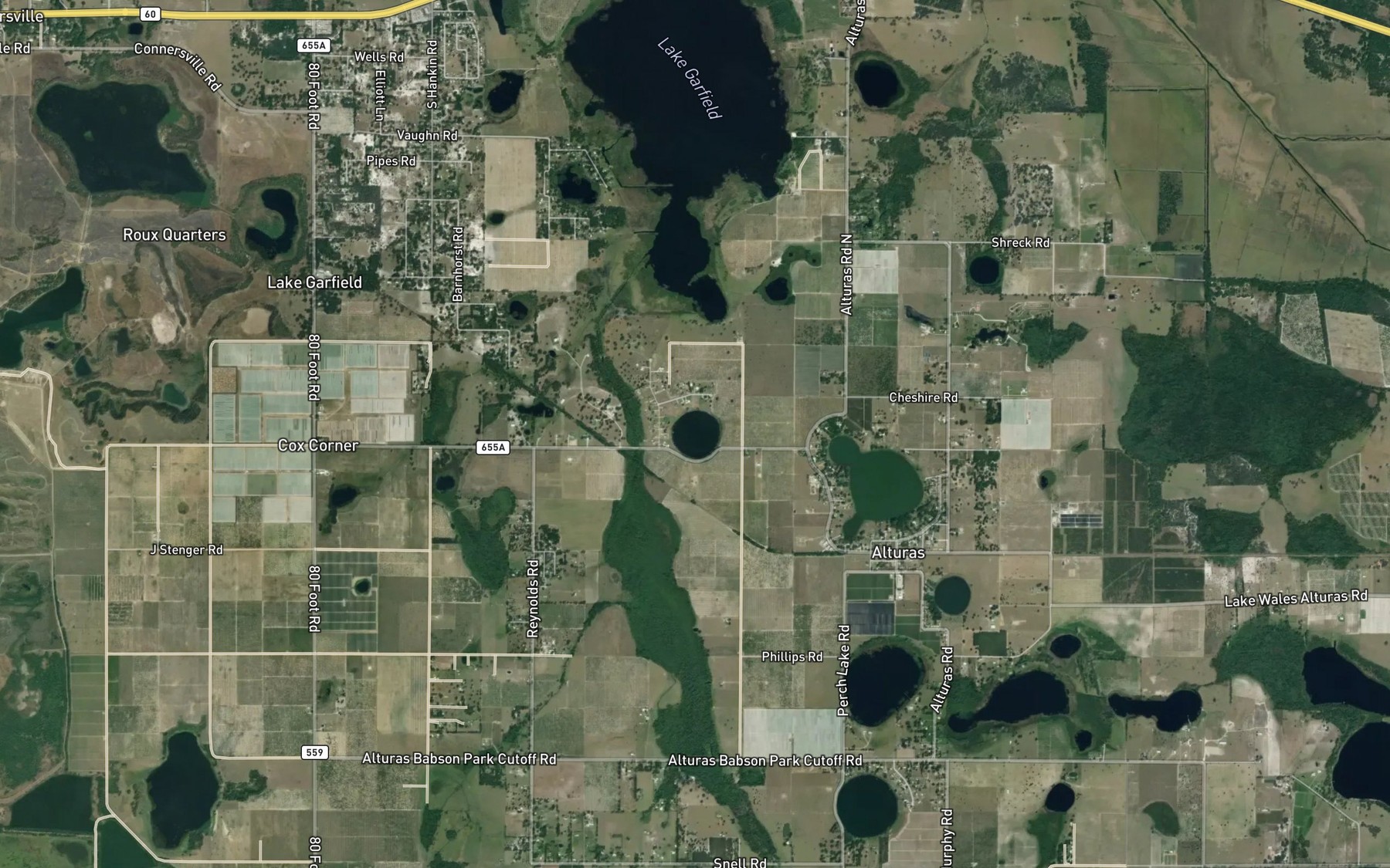 Satellite map of the Flora Lake