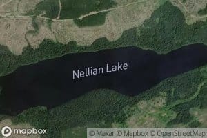 Nellian Lake
