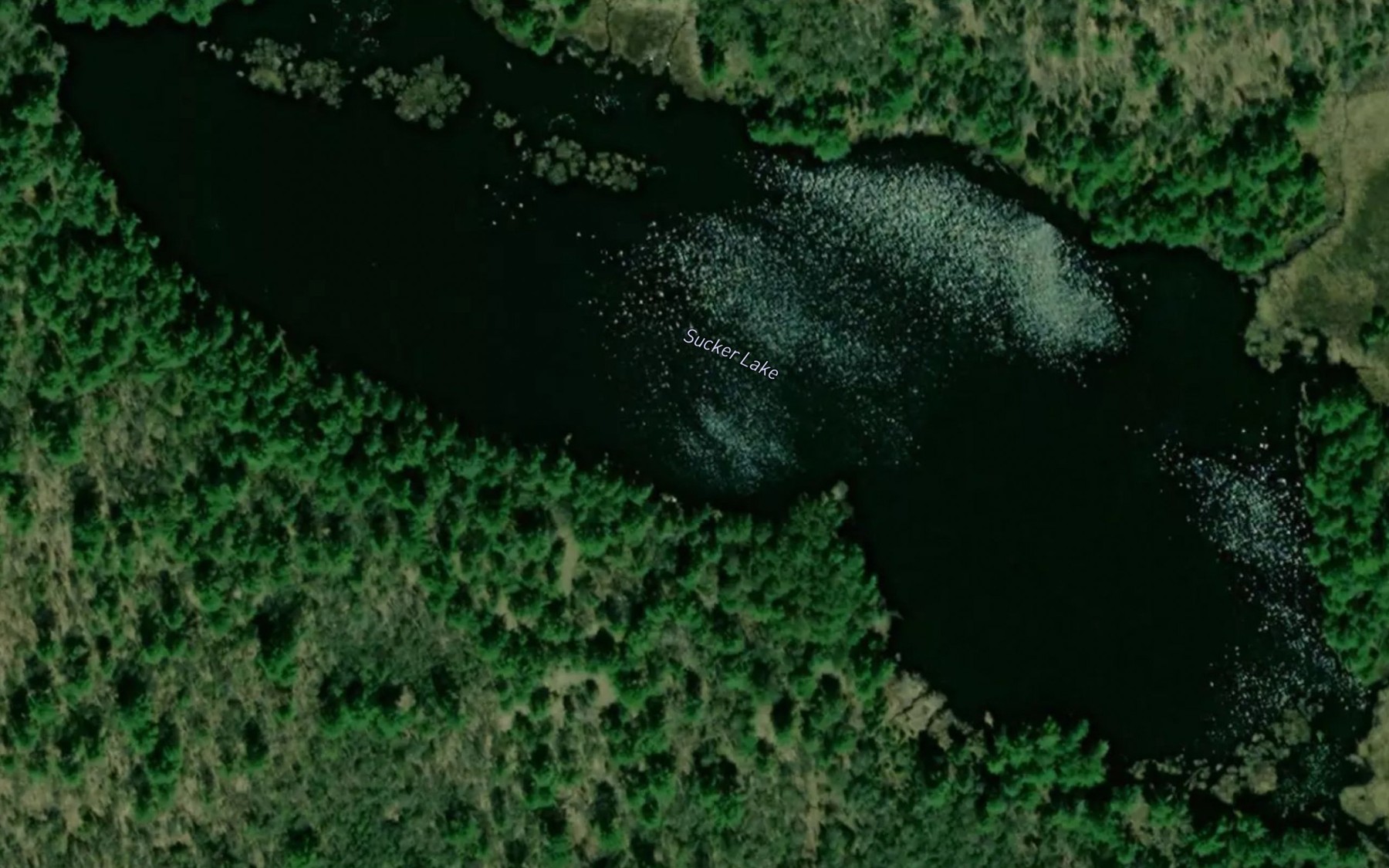 Satellite map of the Sucker Lake