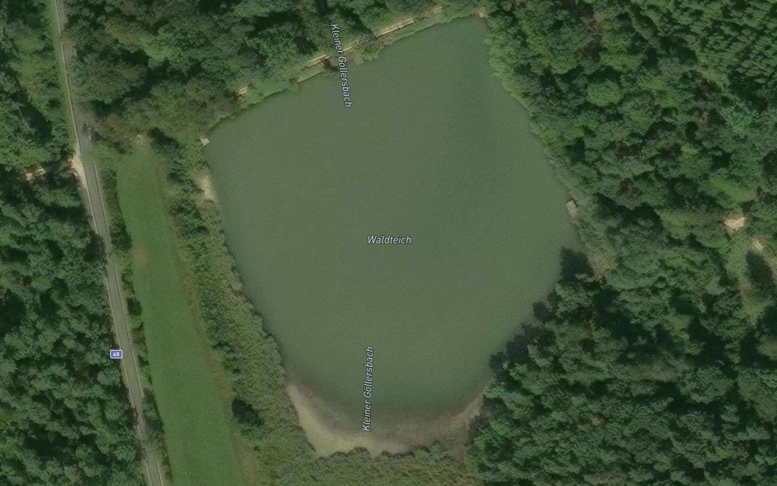 Waldteich