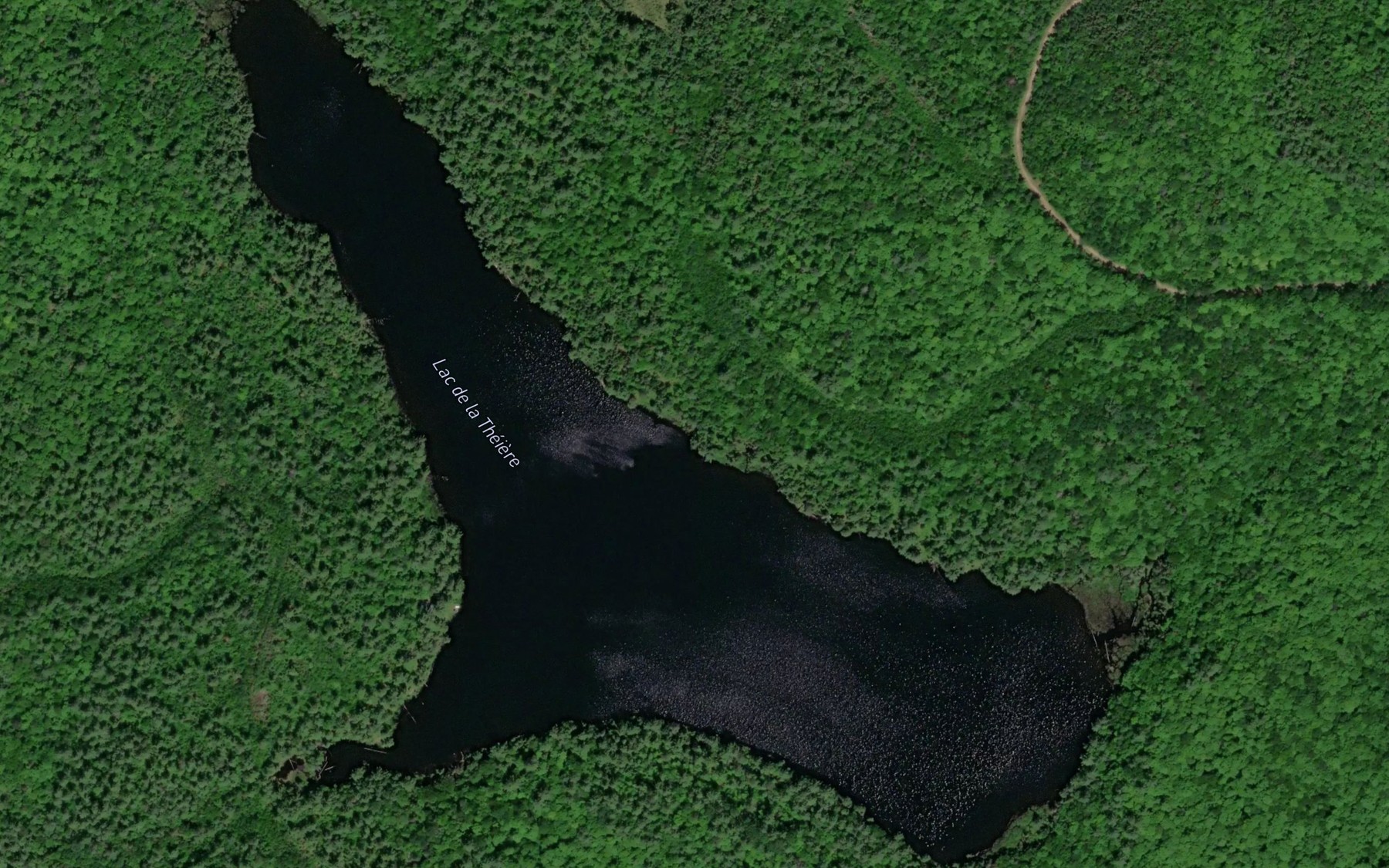Satellite map of the Lac de la Theiere