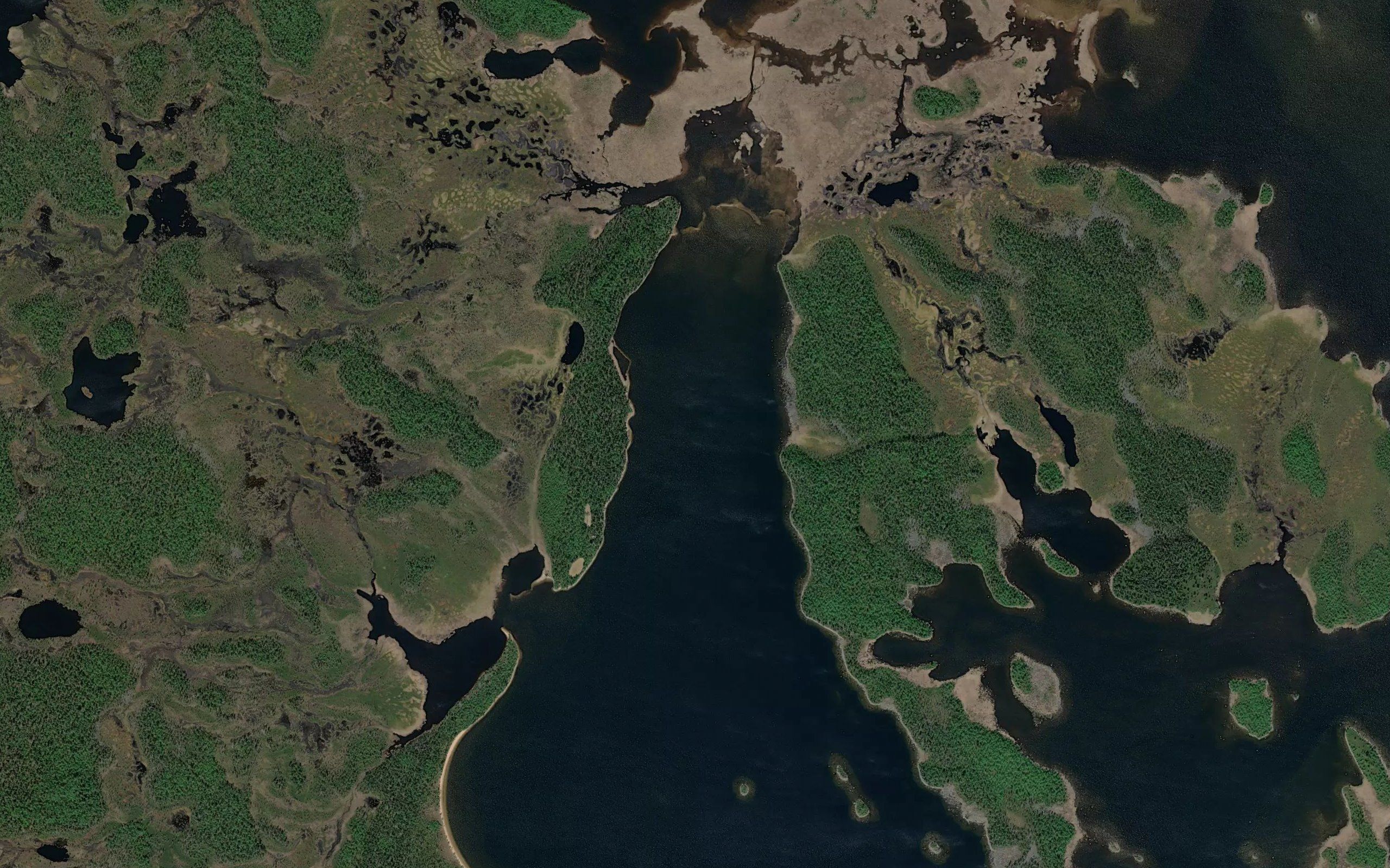 Riuruvuono