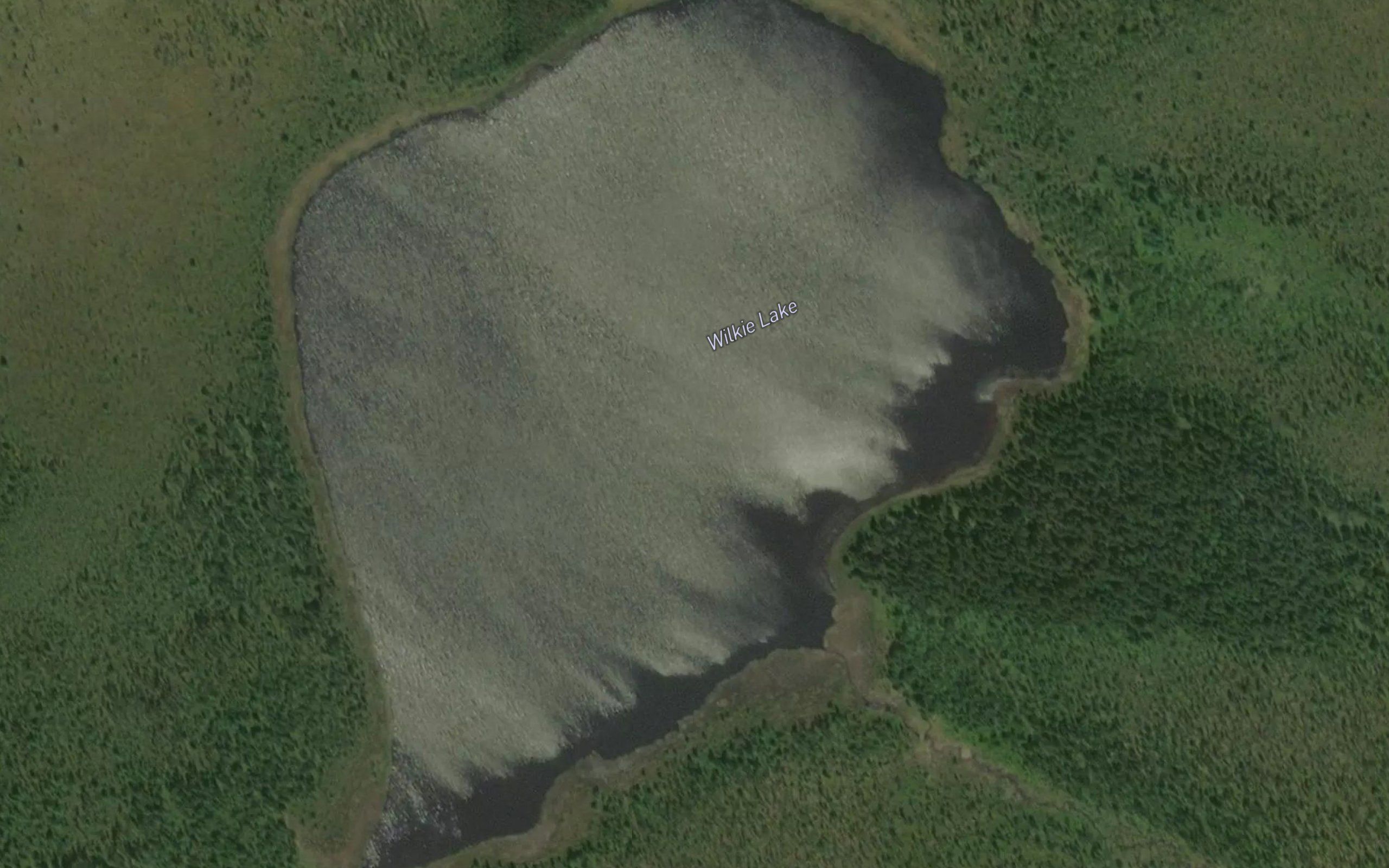 Wilkie Lake