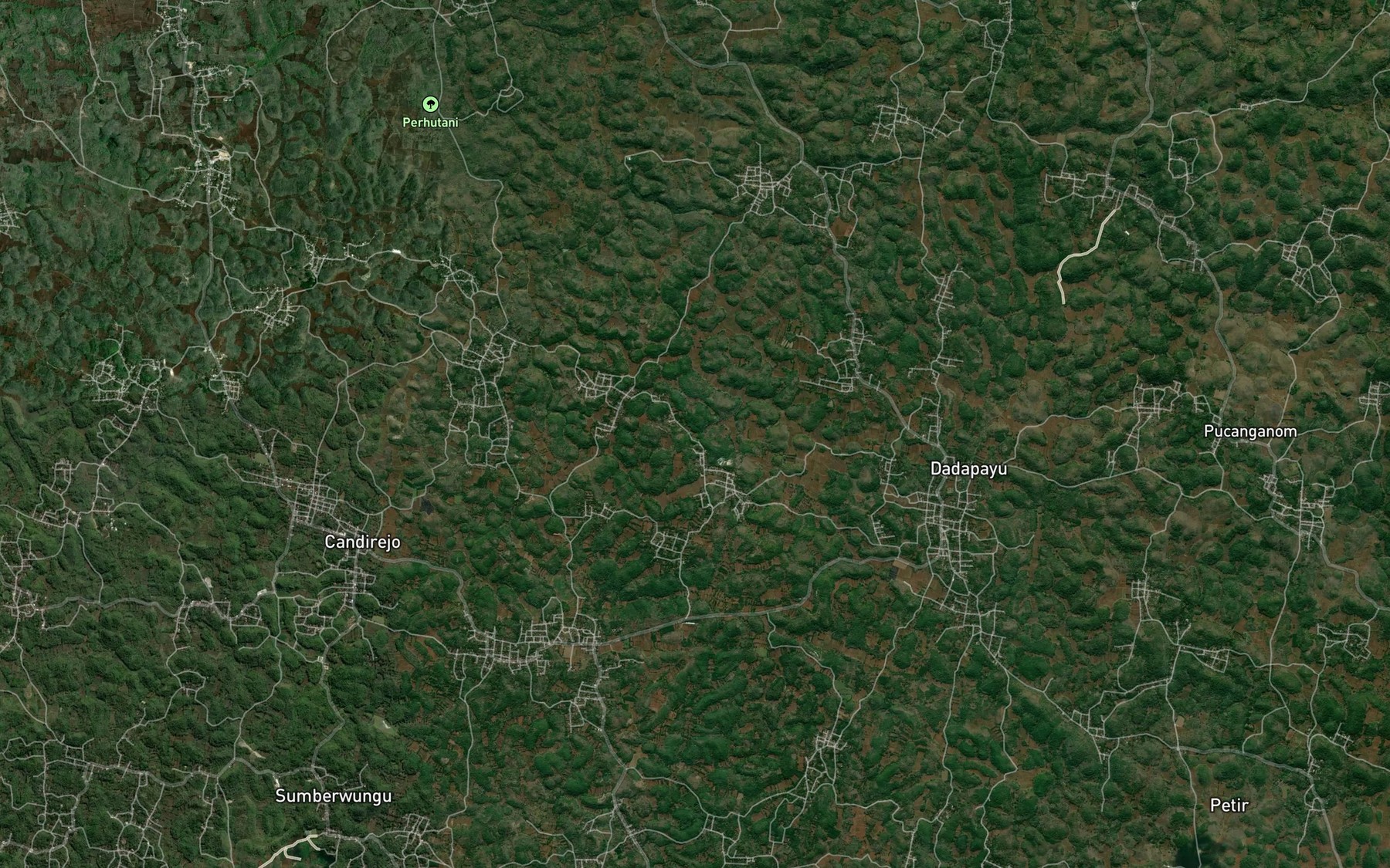 Satellite map of the Telaga Badut