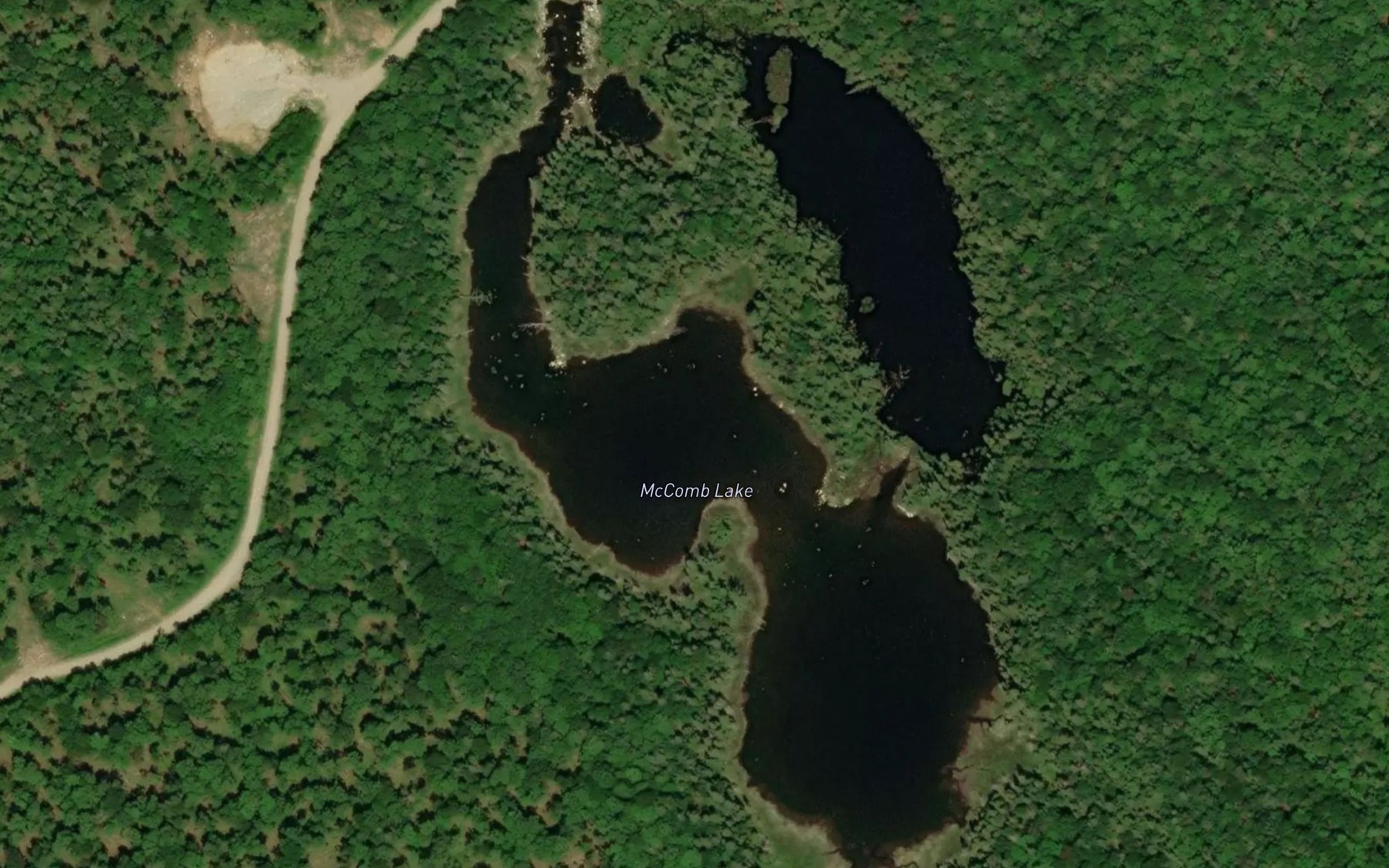 Satellite map of the McComb Lake