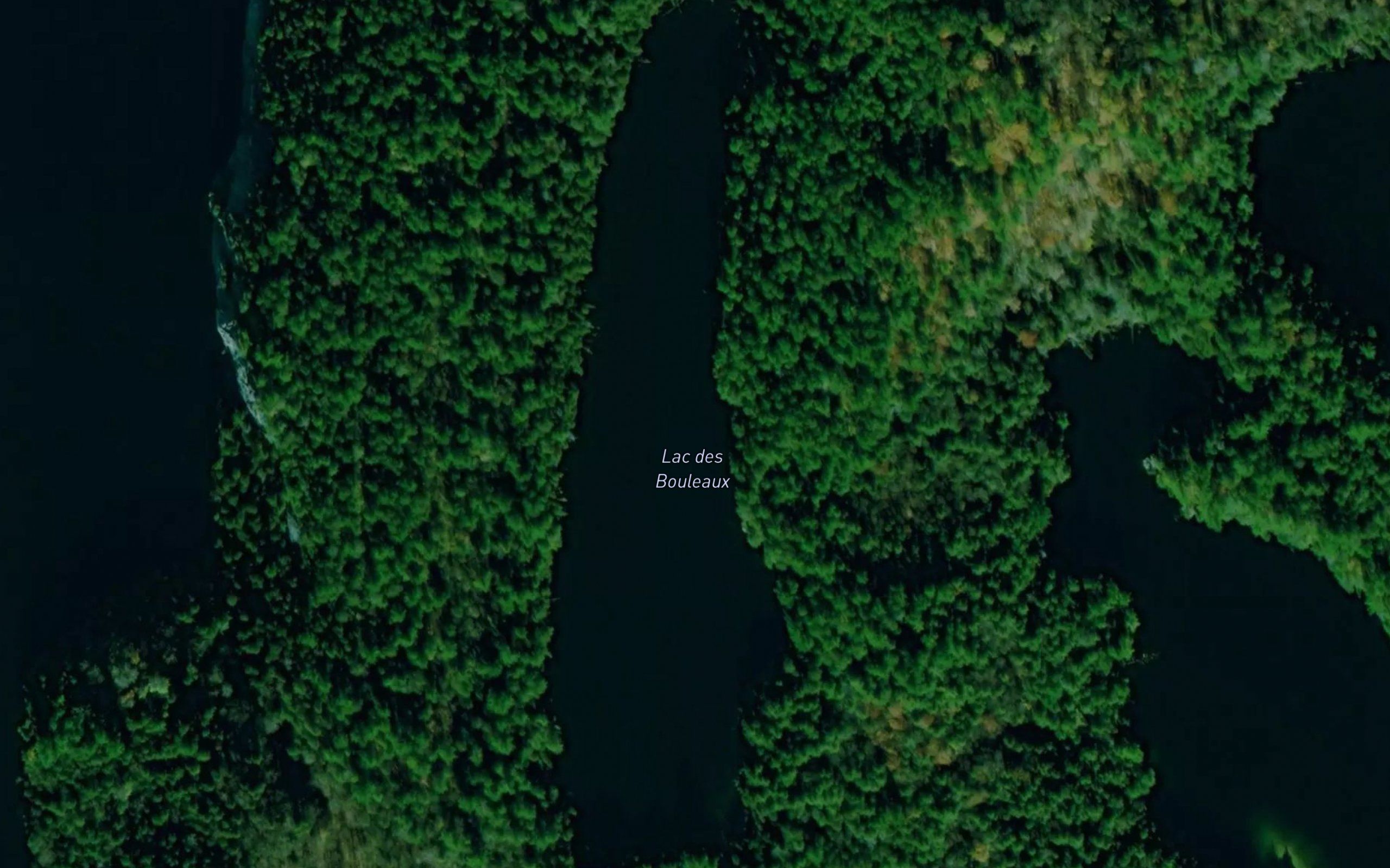 Lac des Bouleaux