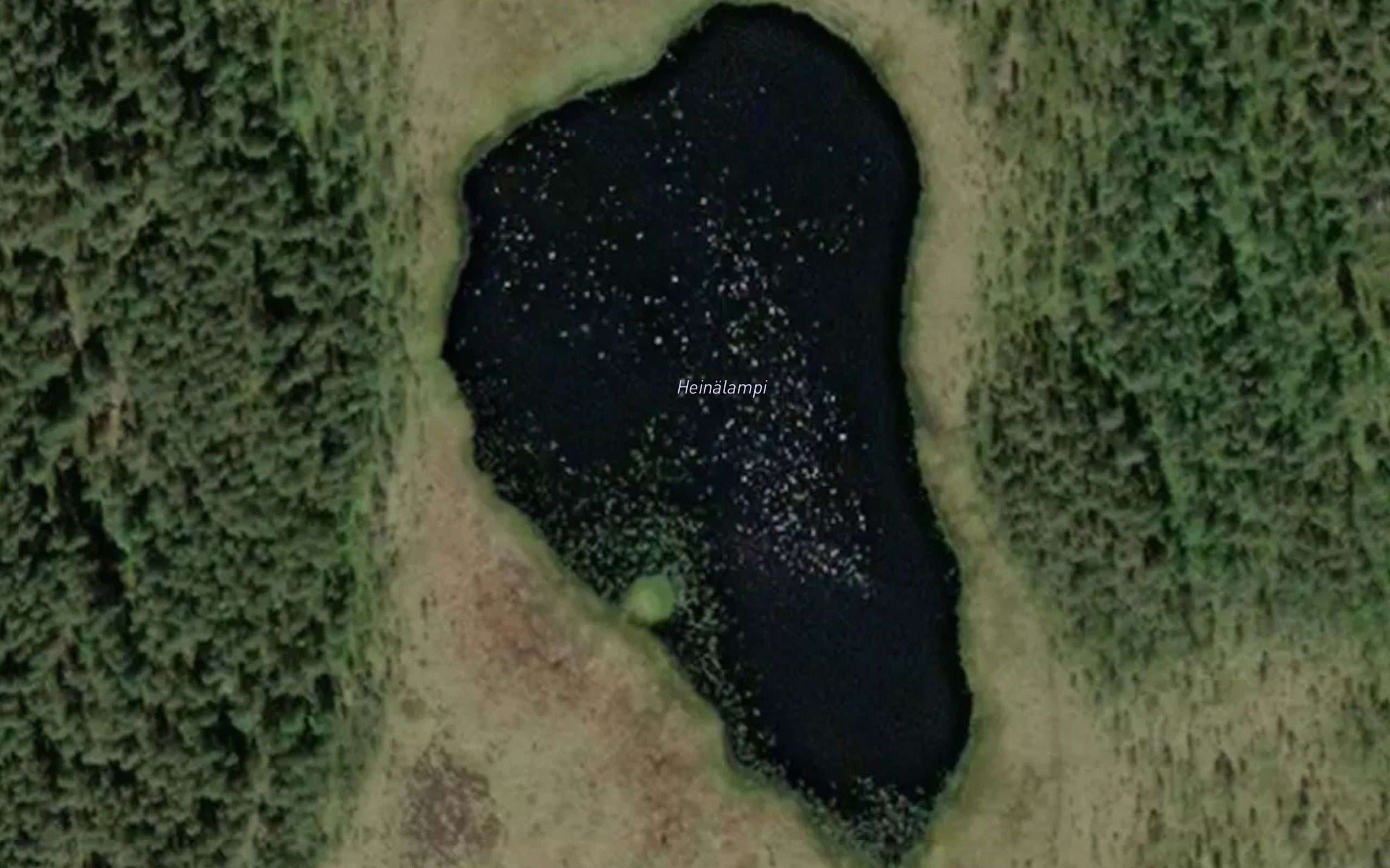 Heinalampi