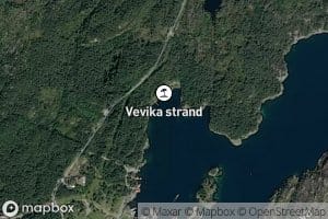 Vedvika