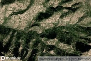 Apple Orchard Spring