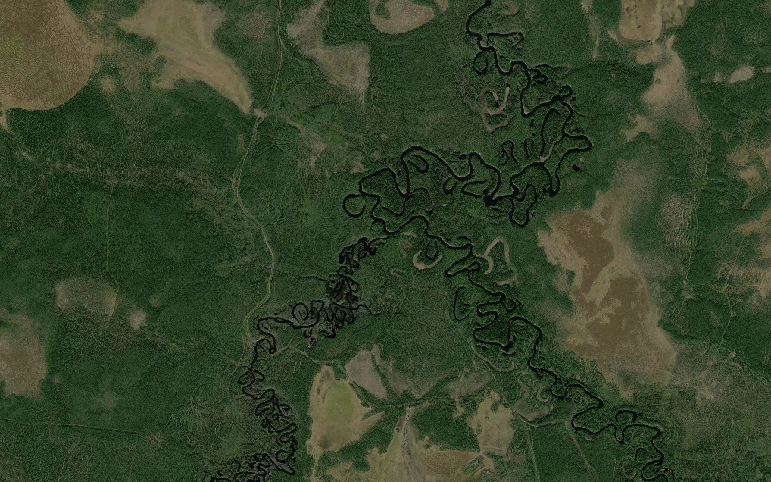 Vis