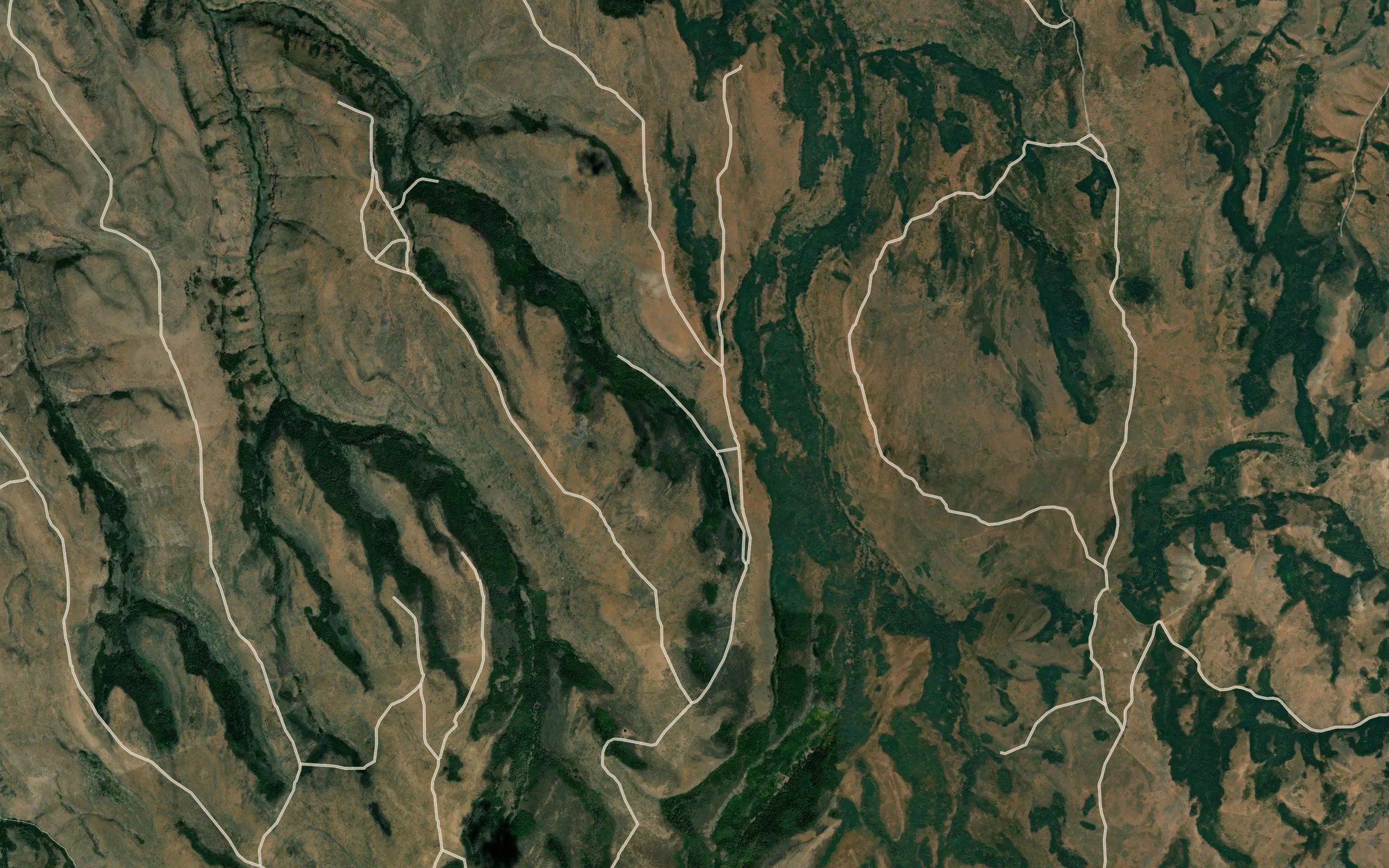 Coyote Spring