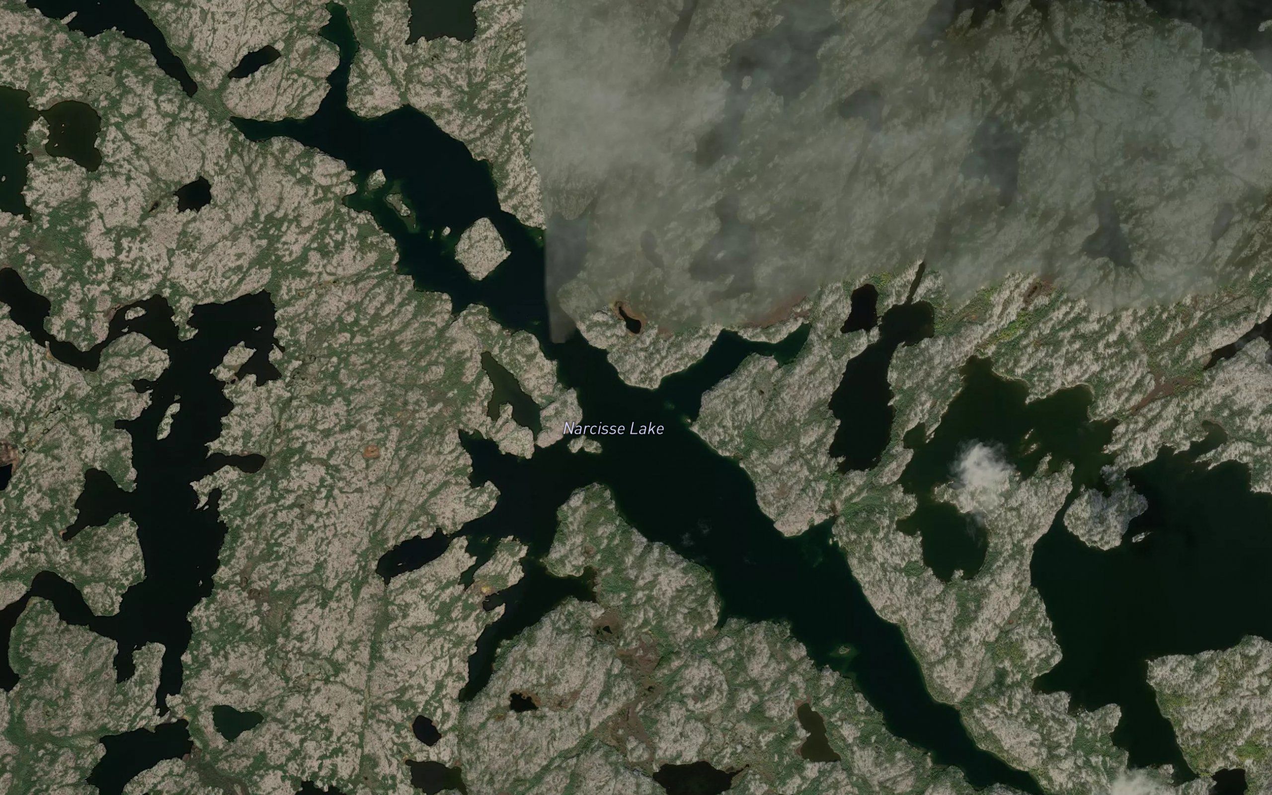Narcisse Lake