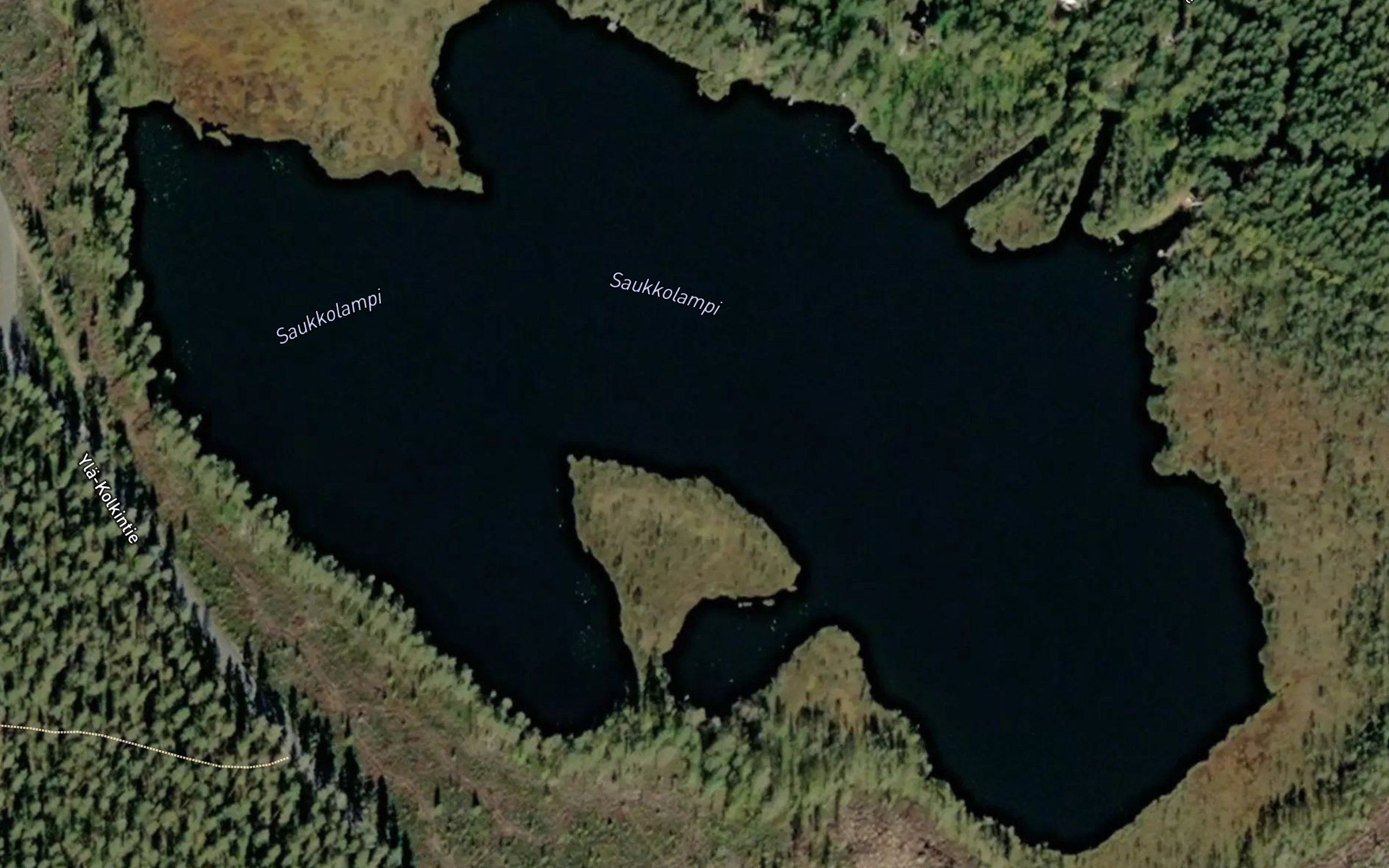 Saukkolampi