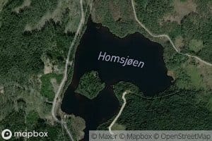 Homsjoen